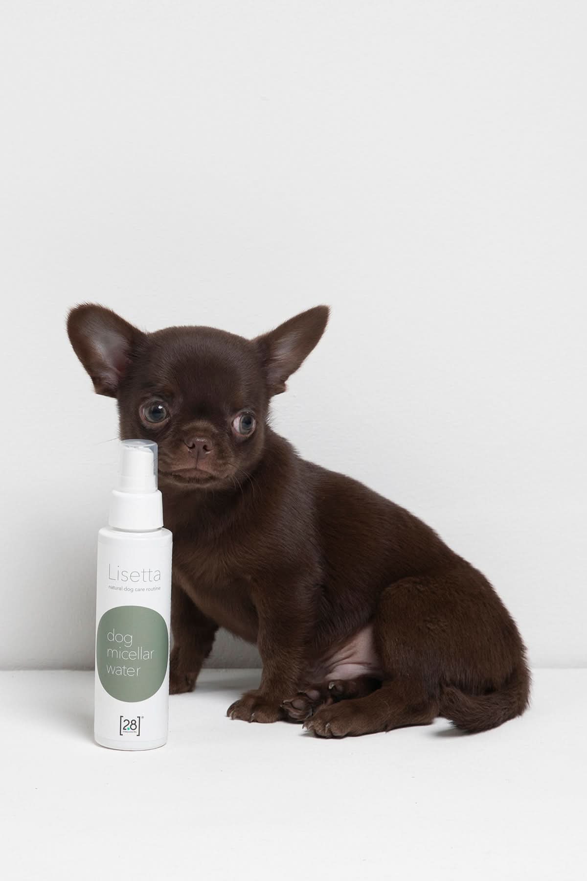 LISETTA DOG MICELLAR WATER | מים מיסלריים לפרוות הכלב