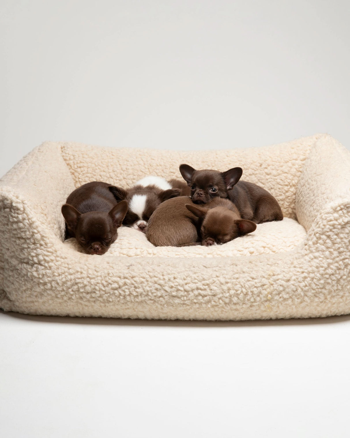 HENRI BOUCLÉ WOOL DOG BED | מיטה לכלב
