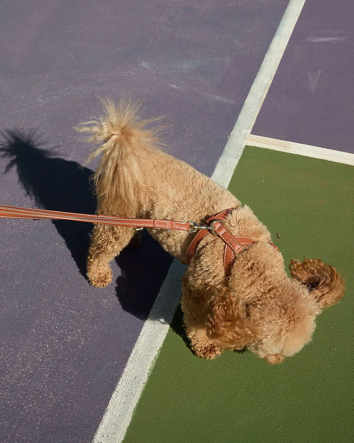 GABRIELE FREE-HANDS LONG LEATHER DOG LEASH | רצועת עור ארוכה ומתכווננת לכלבים