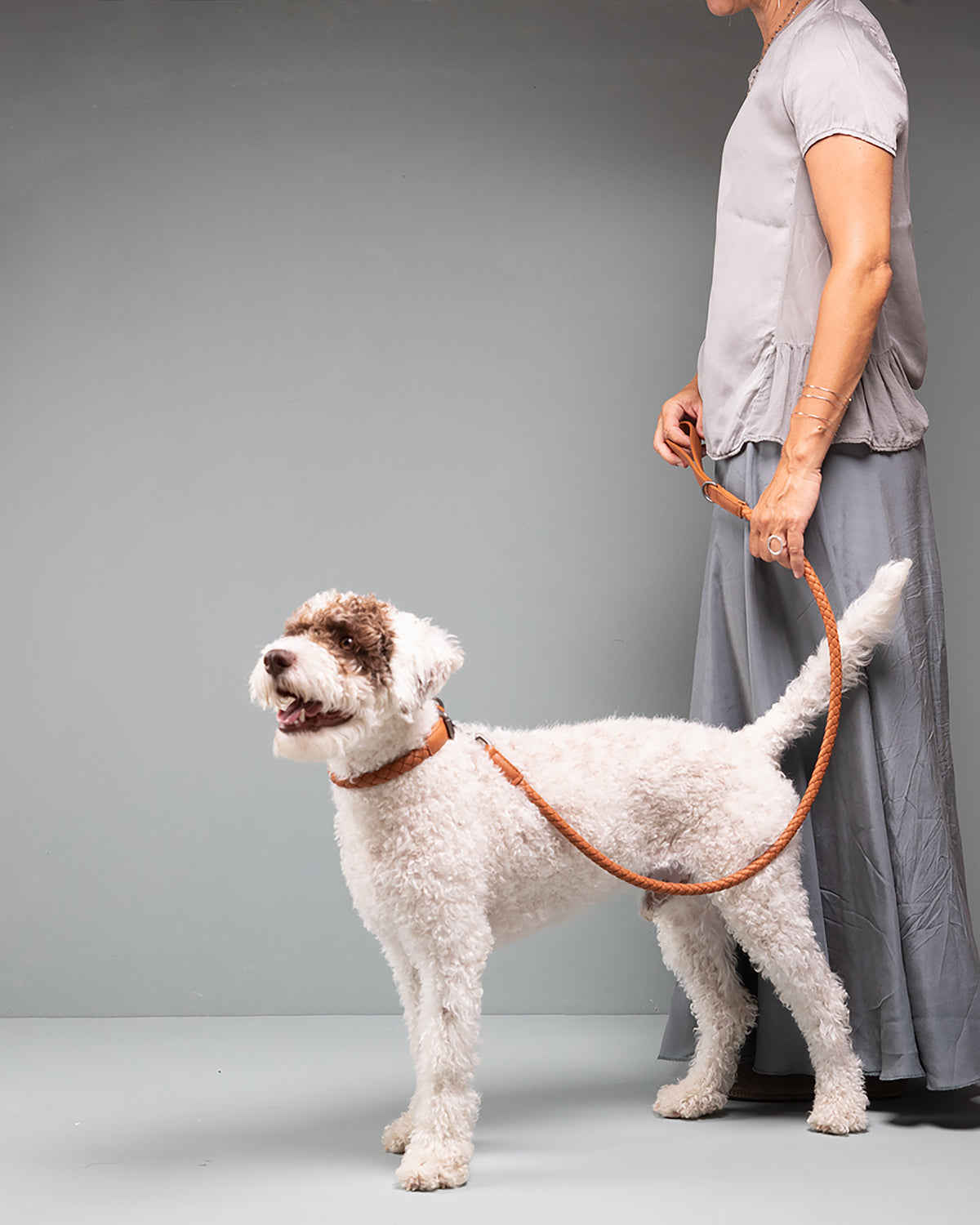 קולר עור לכלבים