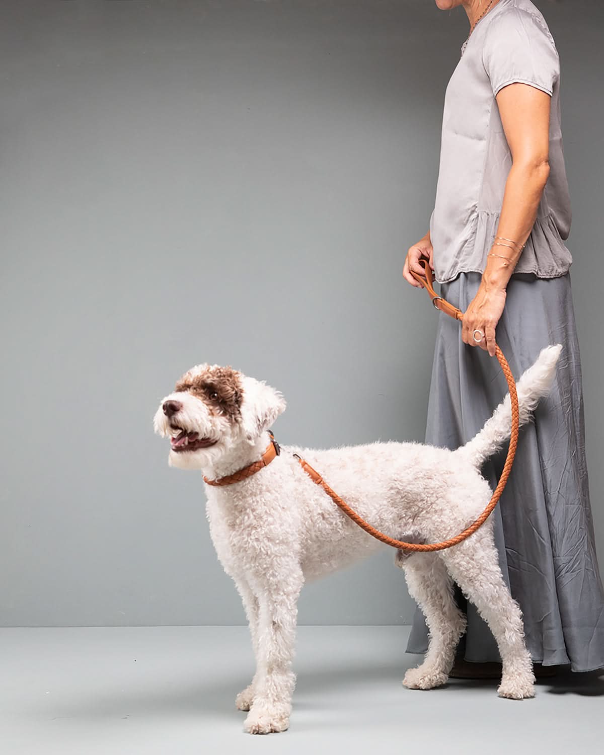 קולר עור לכלבים