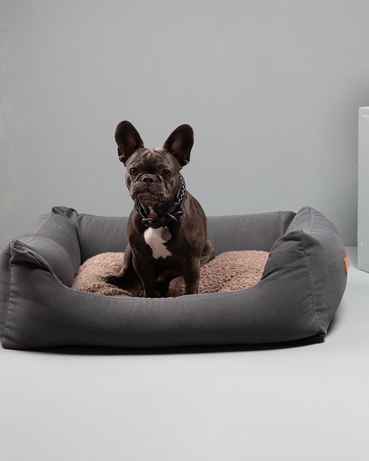 HENRI COTTON CANVAS BED | מיטה לכלב