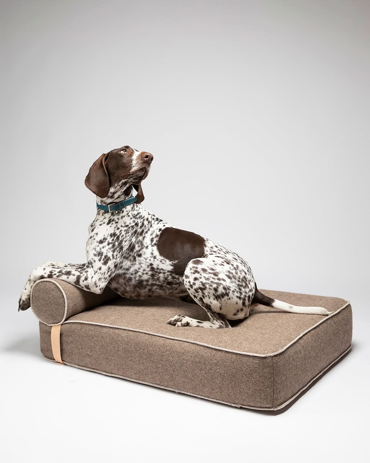 GIAMPAOLO RECYCLED WOOL DOG LOUNGE BED | מיטת לאונג׳ לכלב
