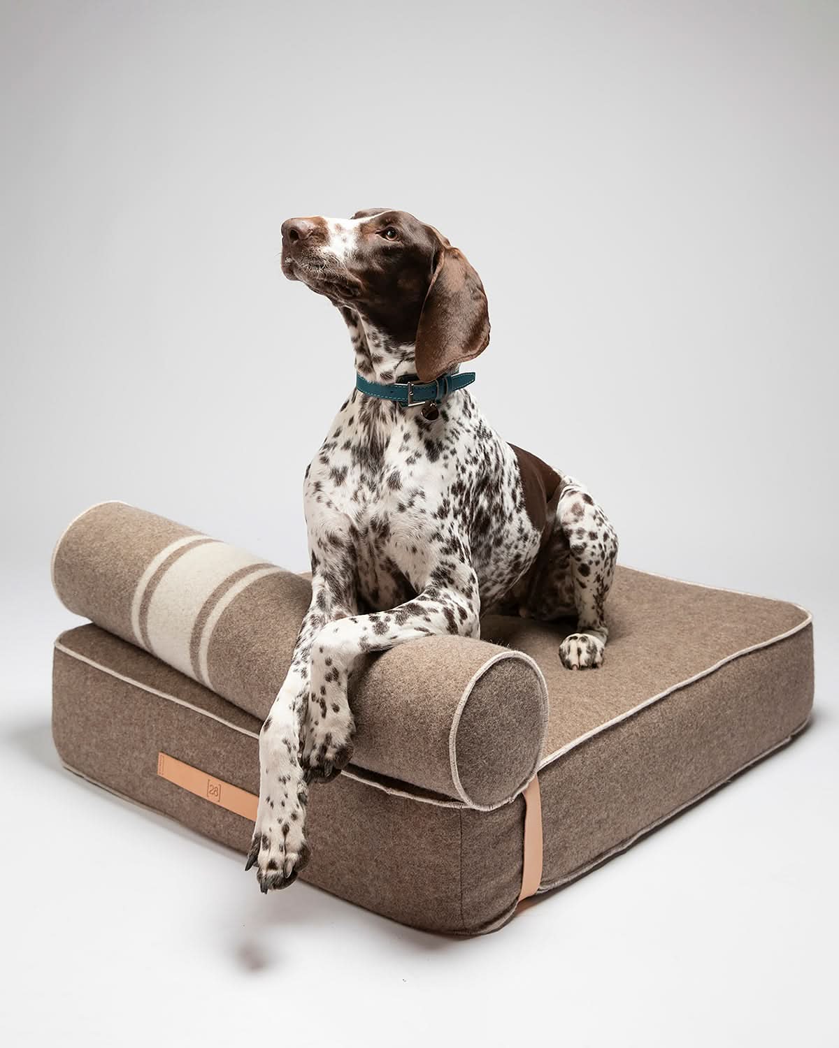 REPLACEMENT COVER FROM RECYCLED WOOL FOR GIAMPAOLO DOG LOUNGE BED | ריפוד להחלפה למיטה לכלב