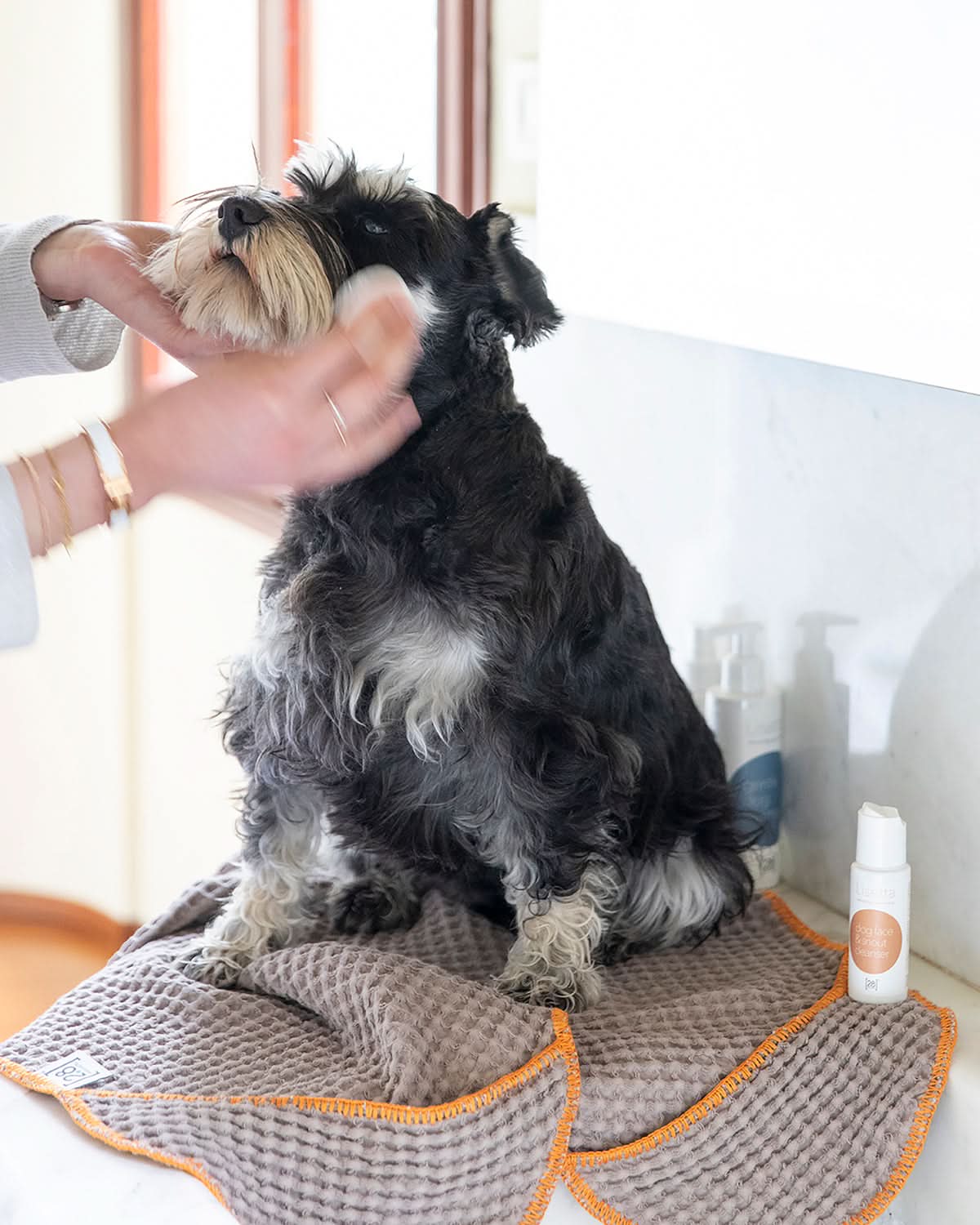 SALLY DOG TOWEL | מגבת לכלב