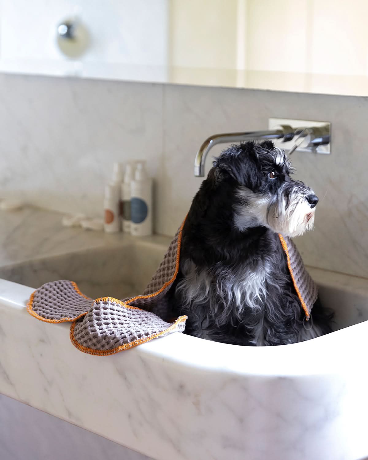 SALLY DOG TOWEL | מגבת לכלב