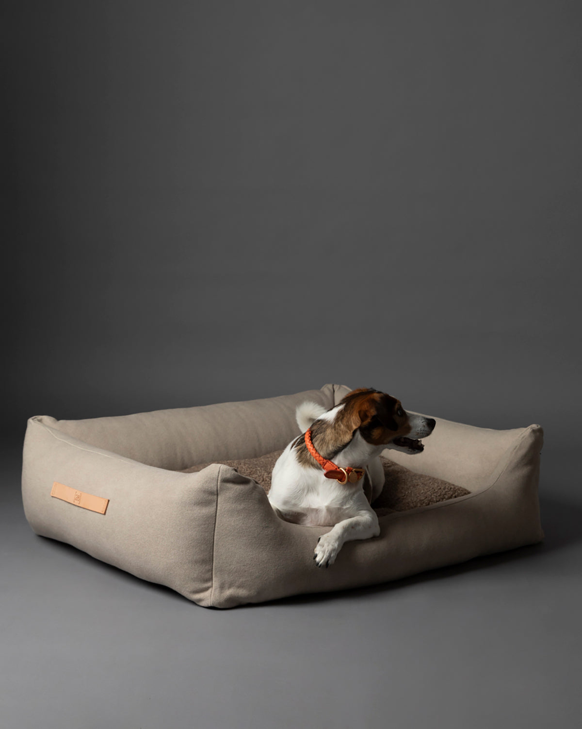 HENRI ORGANIC COTTON BED | מיטה לכלב