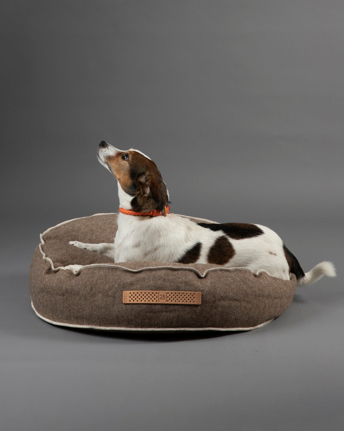 FULVIO RECYCLED WOOL | מיטת פוף לכלב