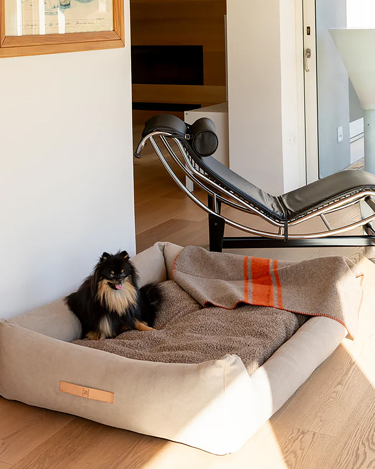 HENRI ORGANIC COTTON BED | מיטה לכלב