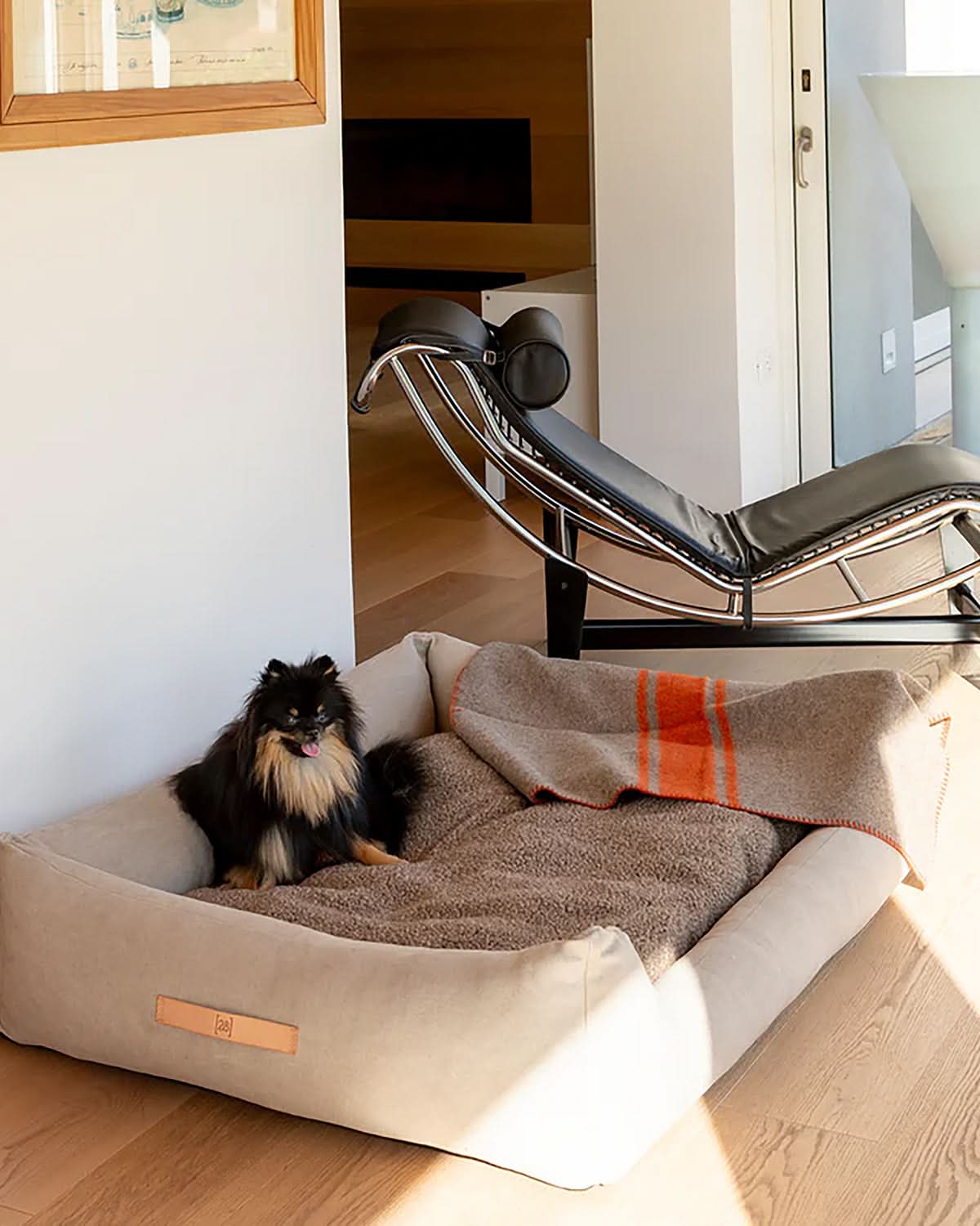 HENRI ORGANIC COTTON DOG BED | מיטה לכלב