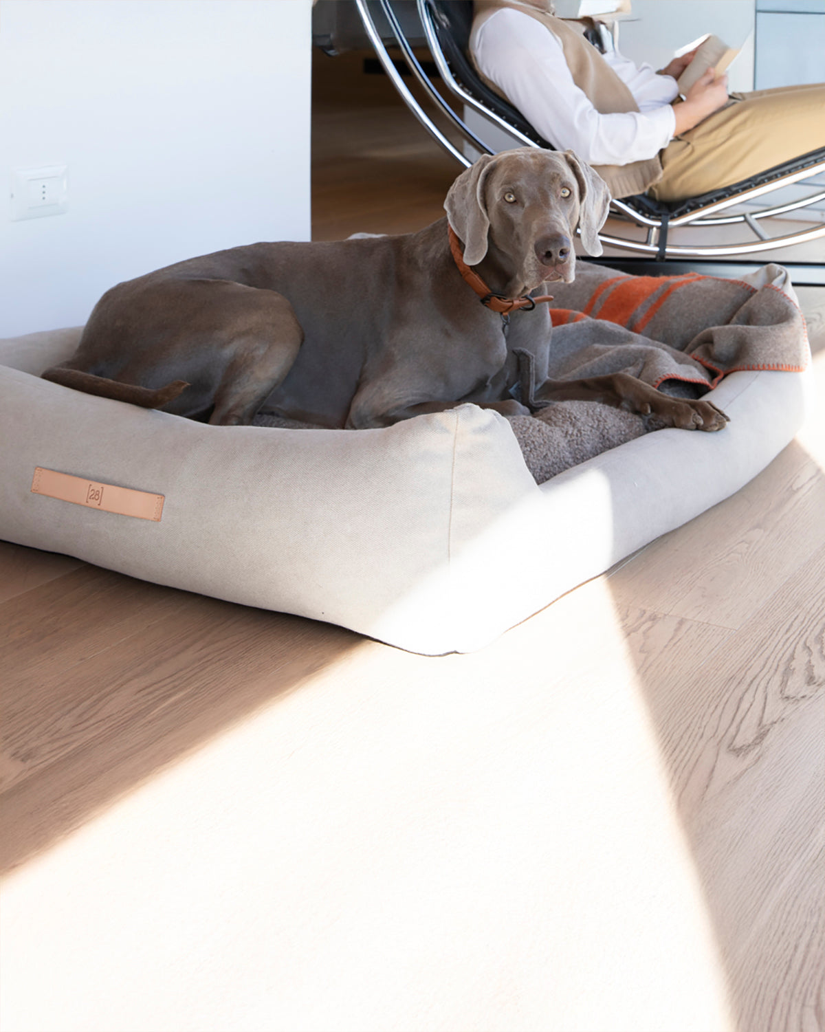 HENRI ORGANIC COTTON BED | מיטה לכלב