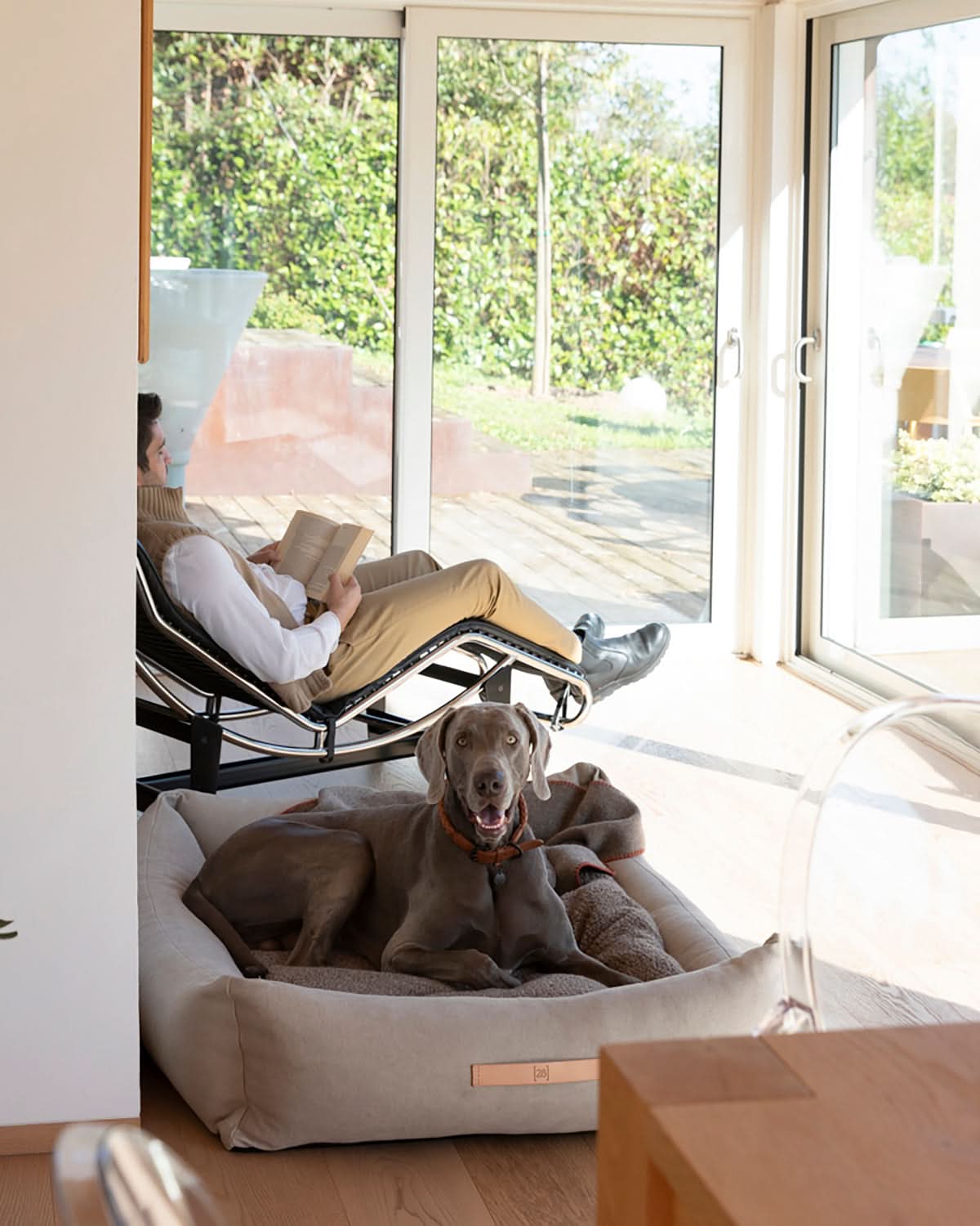 HENRI ORGANIC COTTON DOG BED | מיטה לכלב