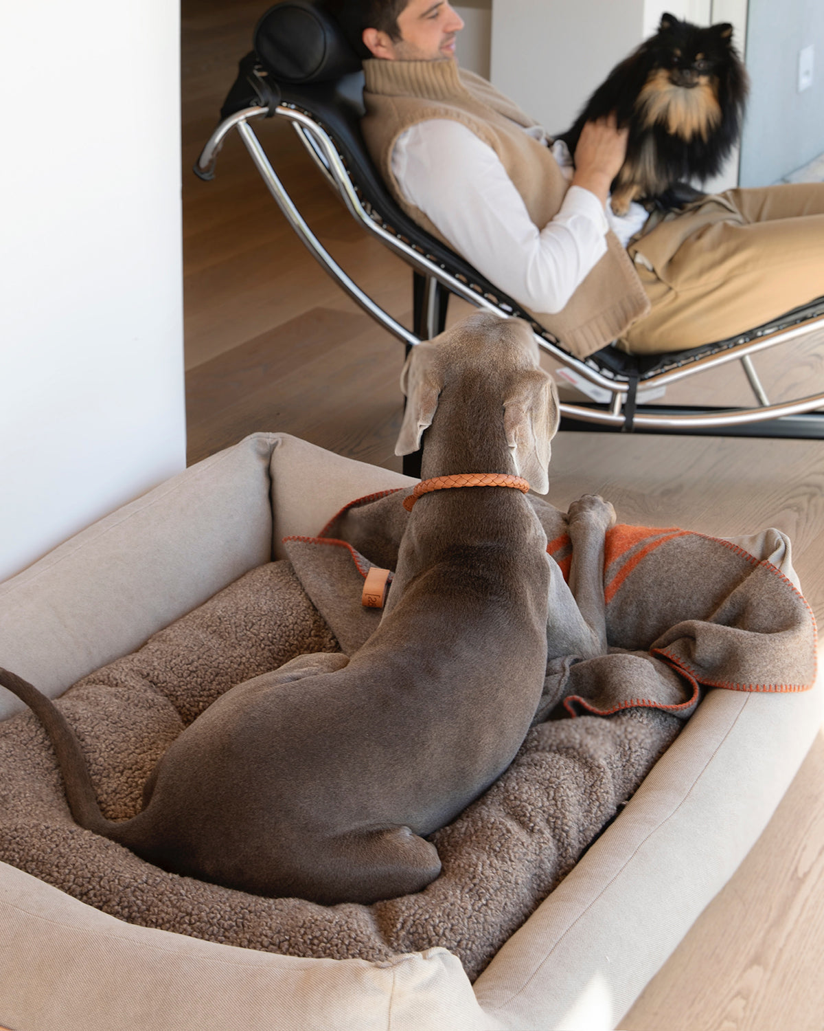 HENRI ORGANIC COTTON BED | מיטה לכלב