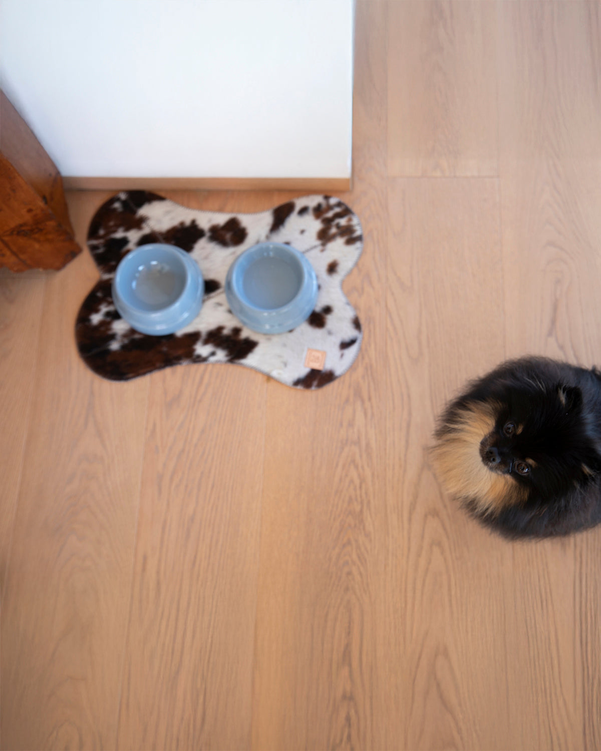 BRUCE HIDE PLACEMAT | פלייסמט לקרות לכלב ולחתול