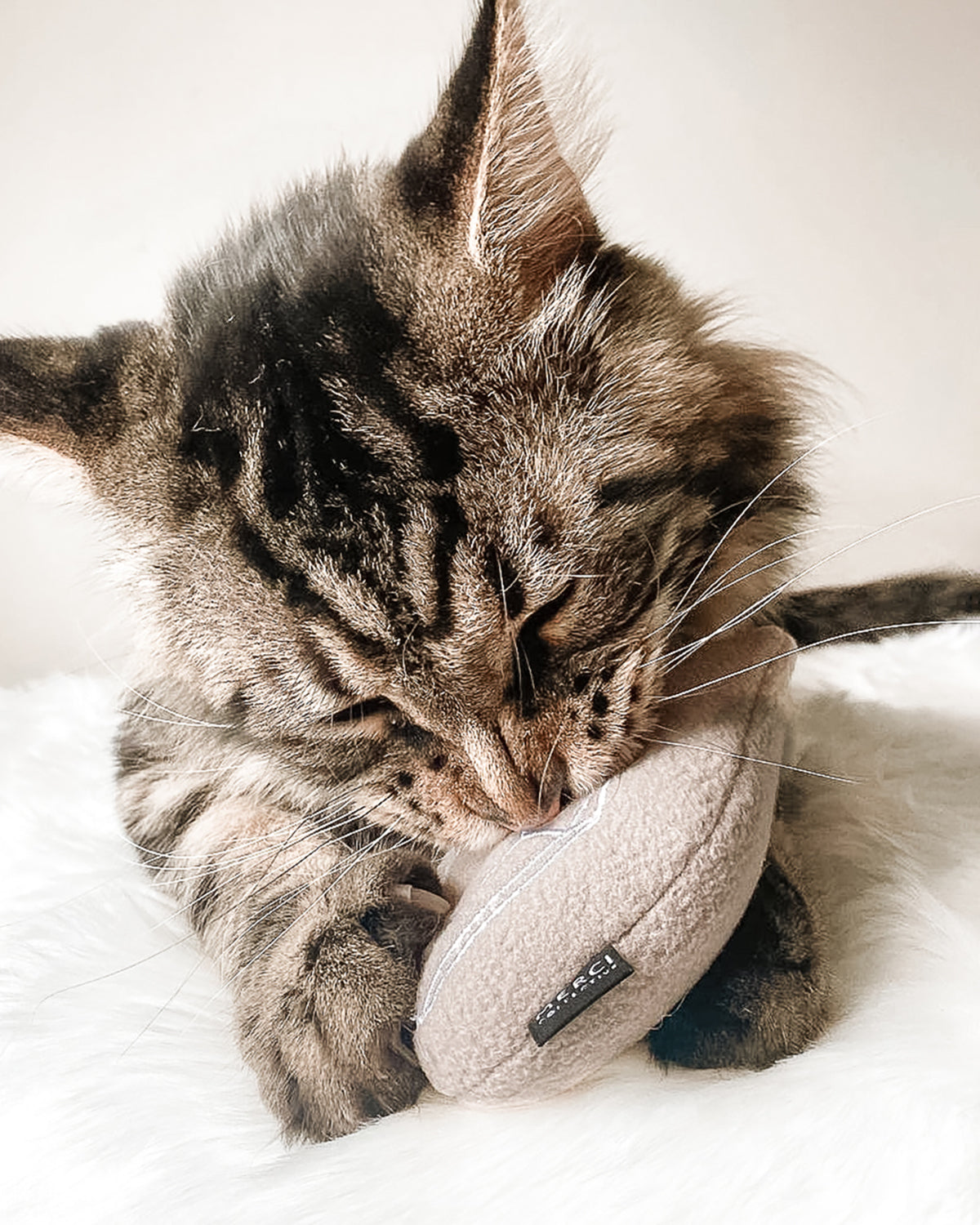 CRYSTAL INFUSED CATNIP CAT TOY | צעצוע לחתול בשילוב קטניפ וקריסטלים