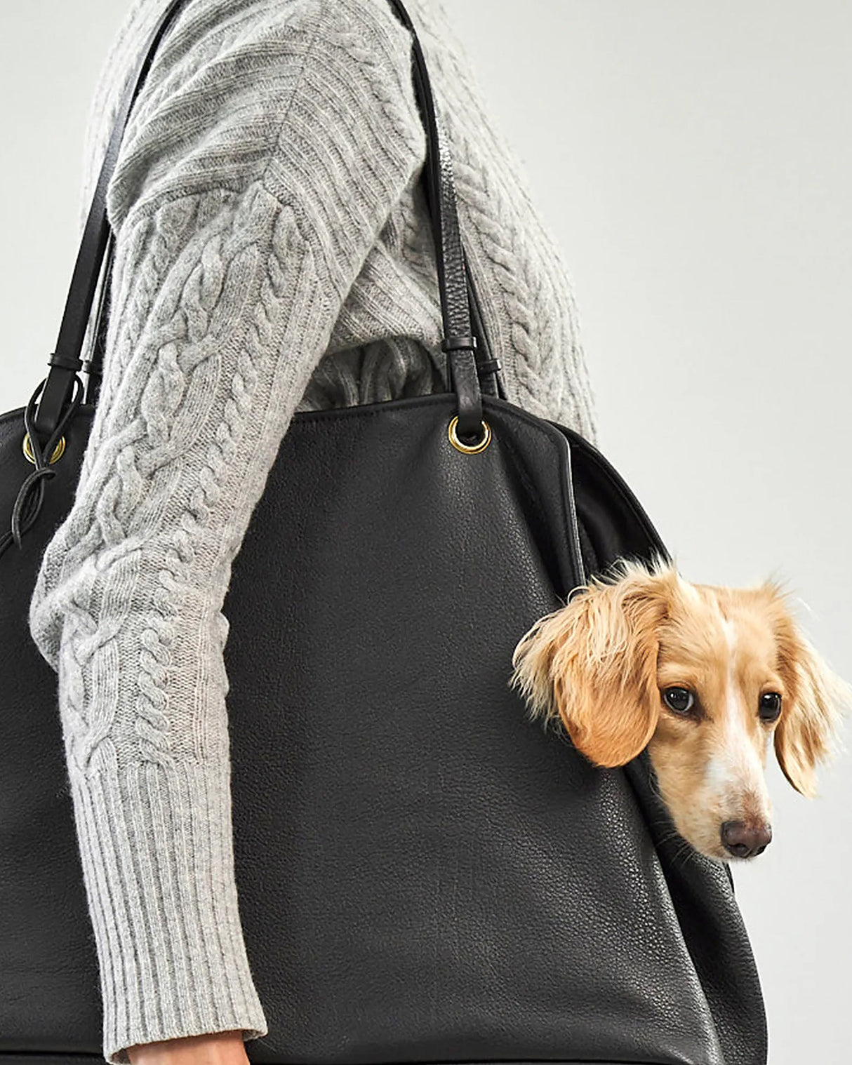 תיק נשיאה לכלב מעור אלגנטי | Borsa Dog Leather Carrier Bag