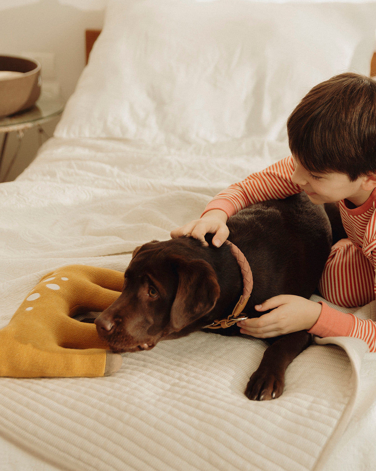 ONDA DOG BLANKET | שמיכה לכלב