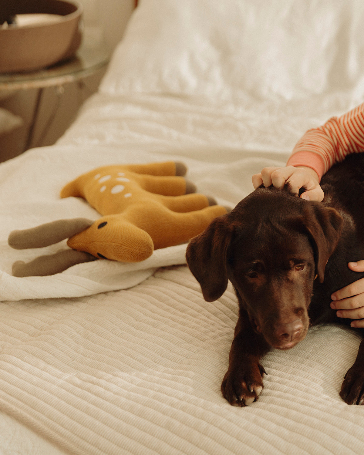 ONDA DOG BLANKET | שמיכה לכלב
