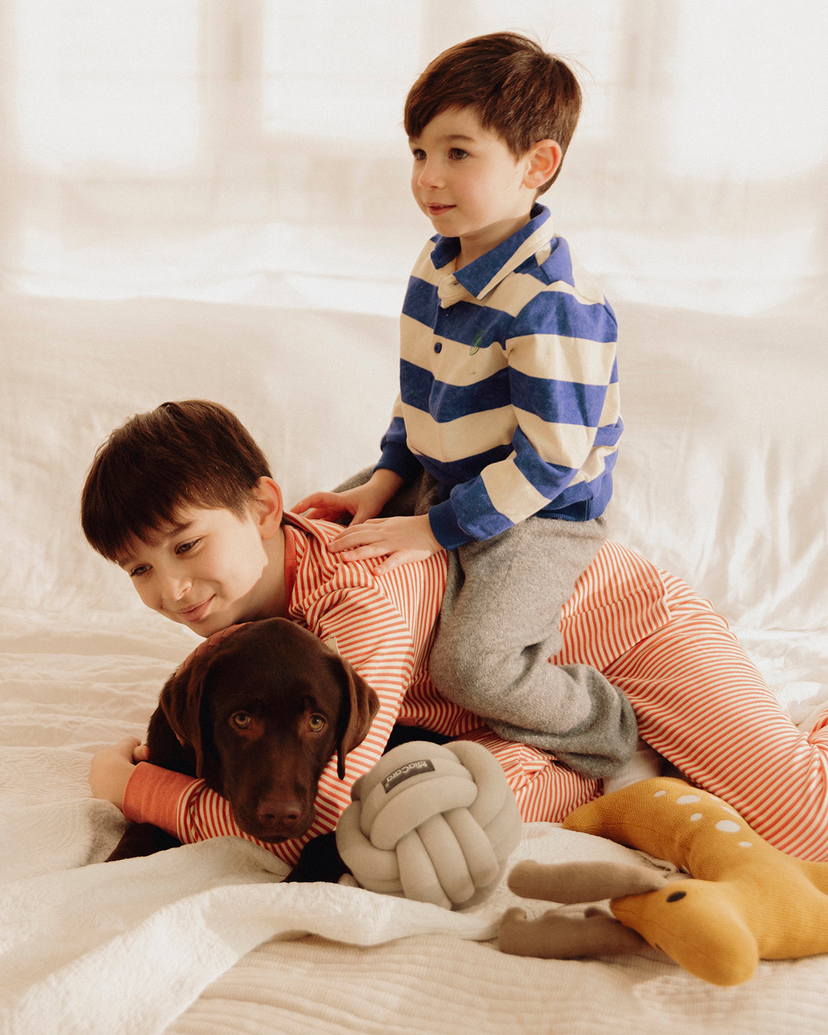 TUBO ACTIVITY TOY | צעצוע הפעלה לכלב