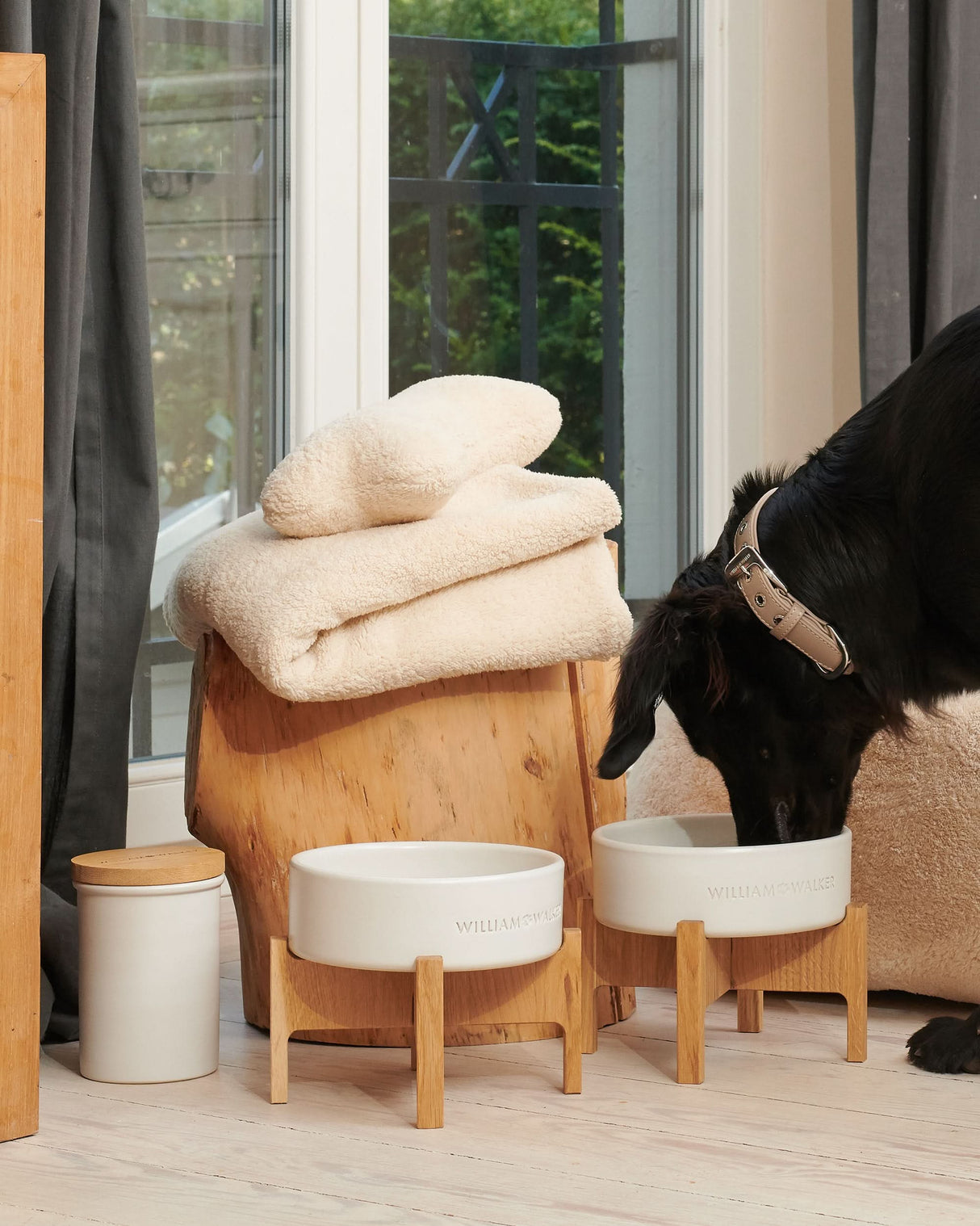 Ceramic Dog Food & Treat Jar | צנצנת לאחסון אוכל וחטיפים לכלב