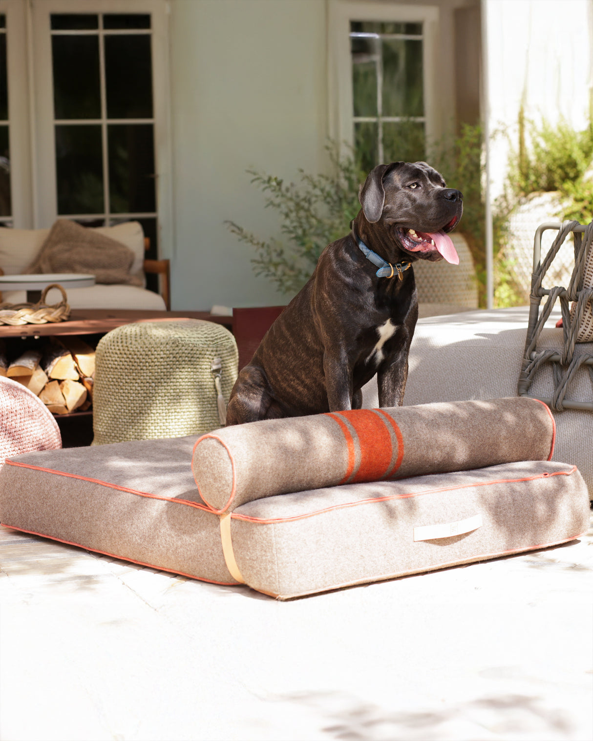 GIAMPAOLO RECYCLED WOOL DOG LOUNGE BED | מיטת לאונג׳ לכלב