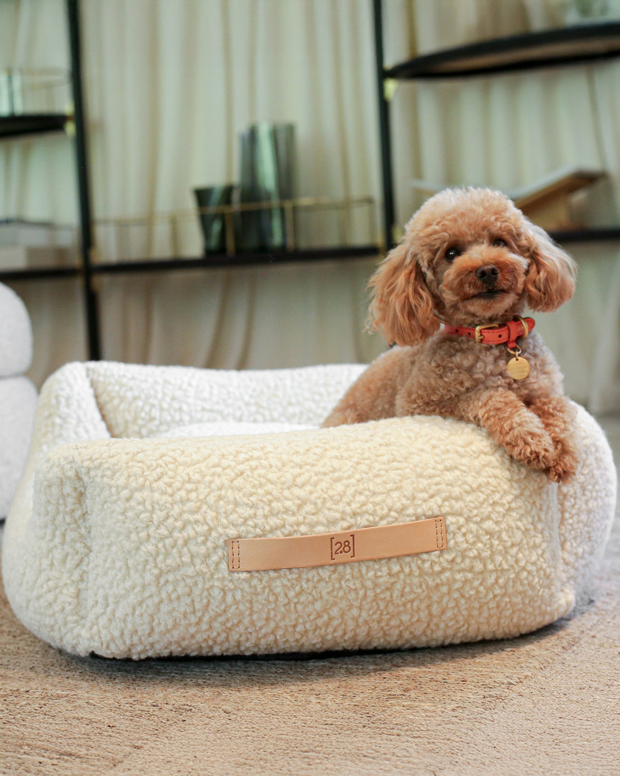 HENRI BOUCLÉ WOOL DOG BED | מיטה לכלב