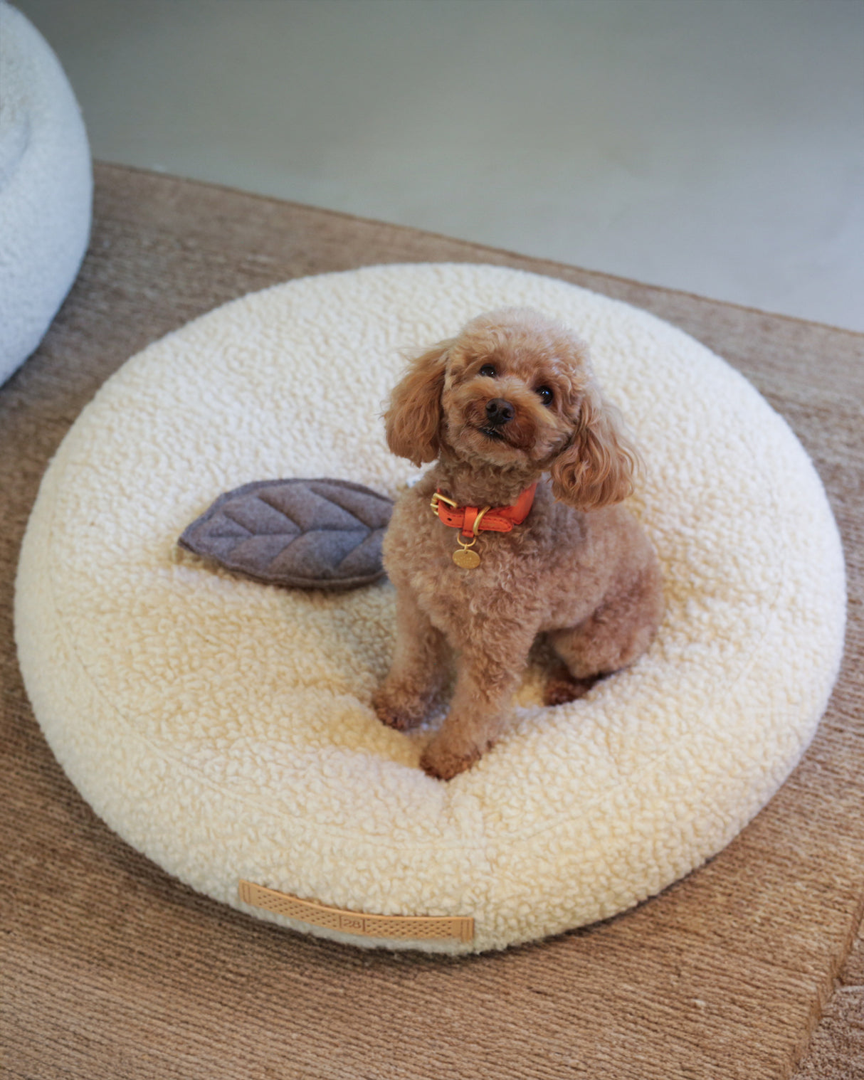 FULVIO BOUCLÉ WOOL BED | מיטת פוף לכלב