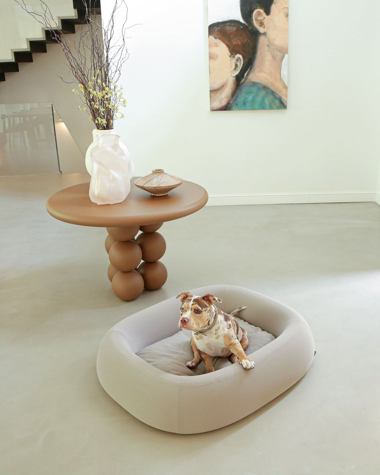מיטה אורתופדית לכלב | BARCA ORTHOPEDIC DOG BED