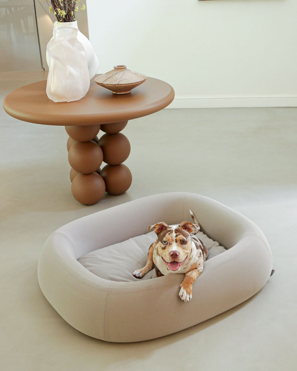 מיטה אורתופדית לכלב | BARCA ORTHOPEDIC DOG BED