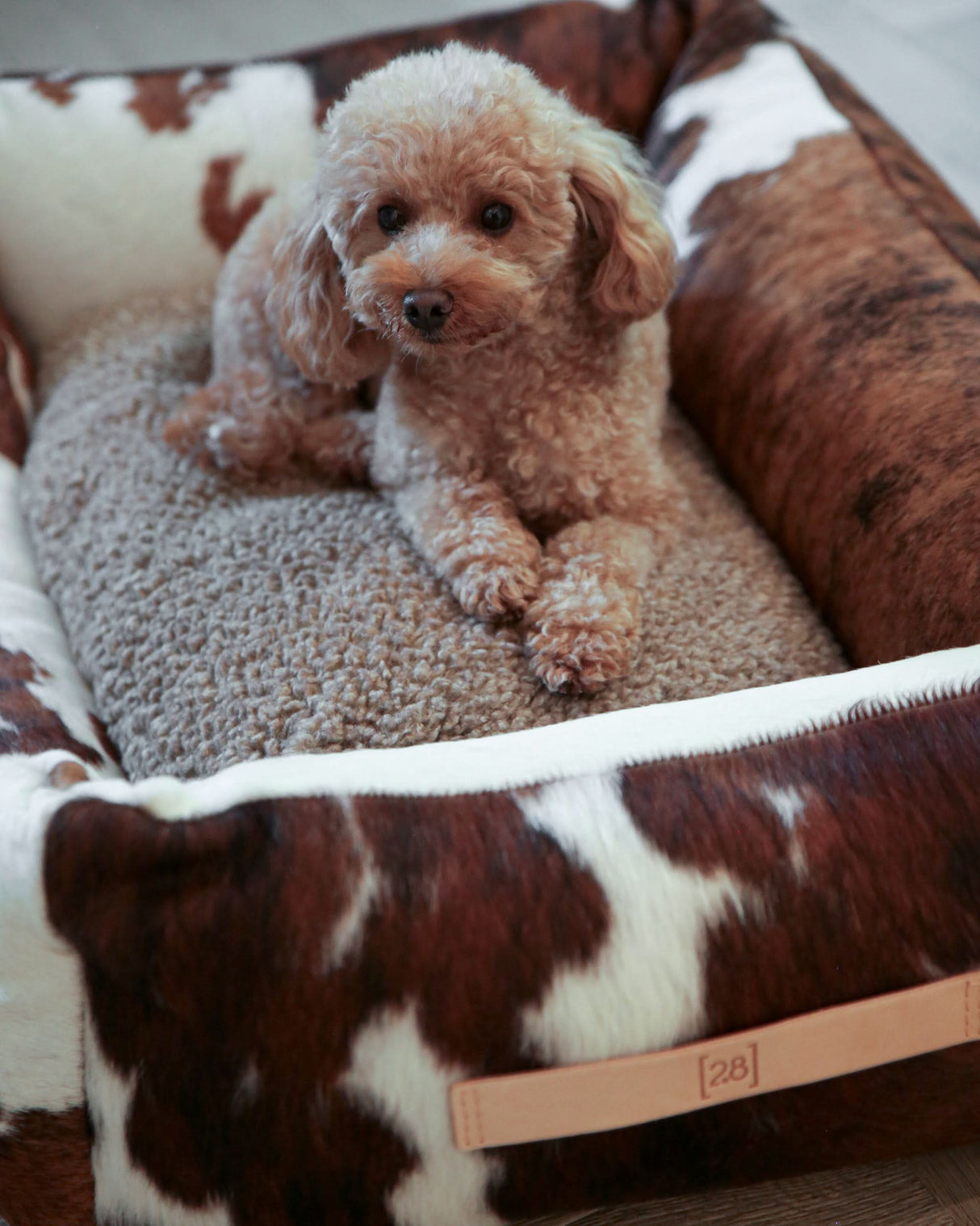 HENRI COWHIDE DOG BED | מיטה לכלב