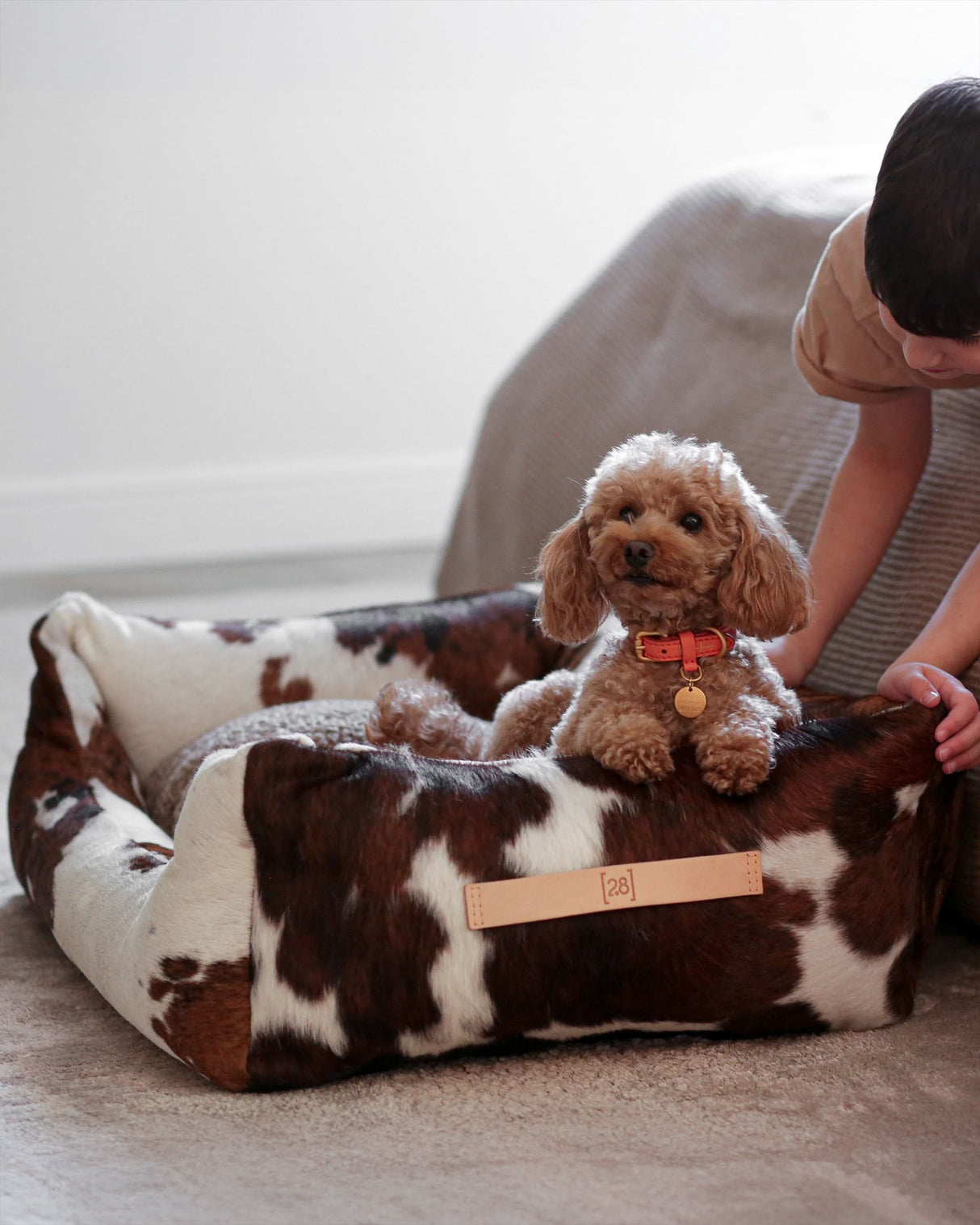 HENRI COWHIDE DOG BED | מיטה לכלב