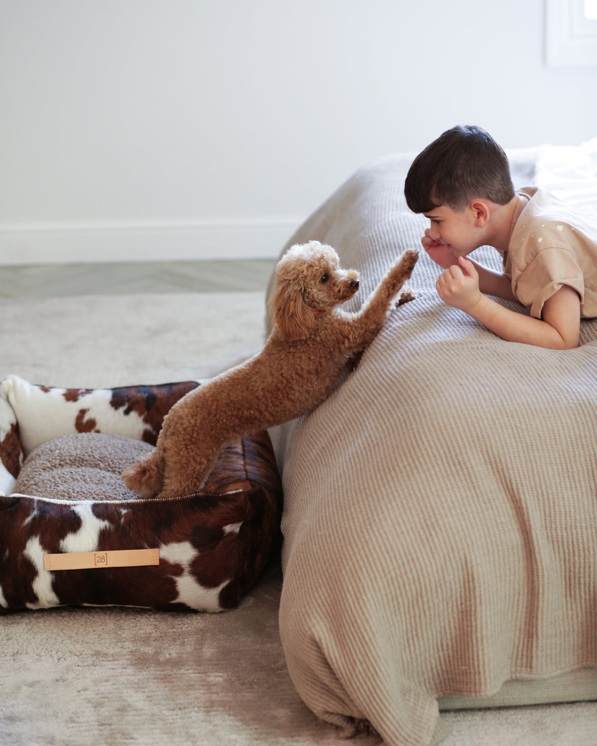 HENRI COWHIDE BED | מיטה לכלב