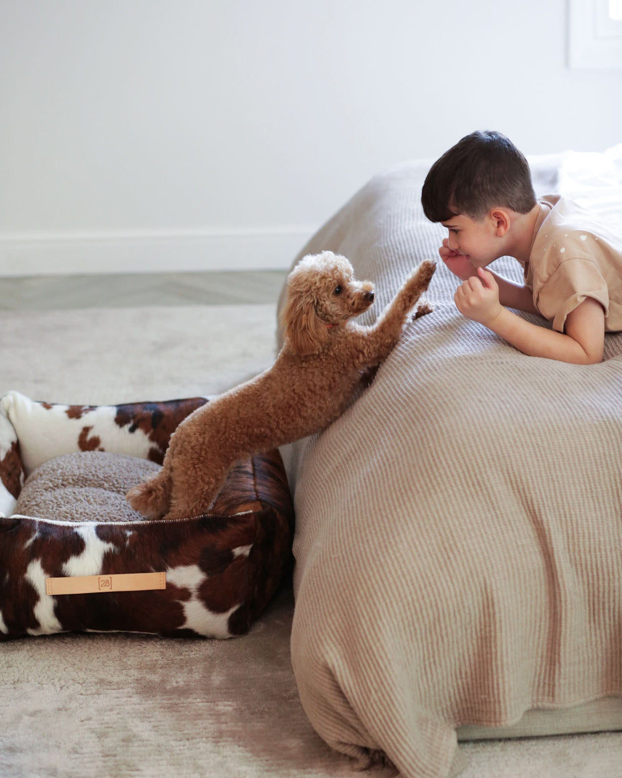 HENRI COWHIDE DOG BED | מיטה לכלב