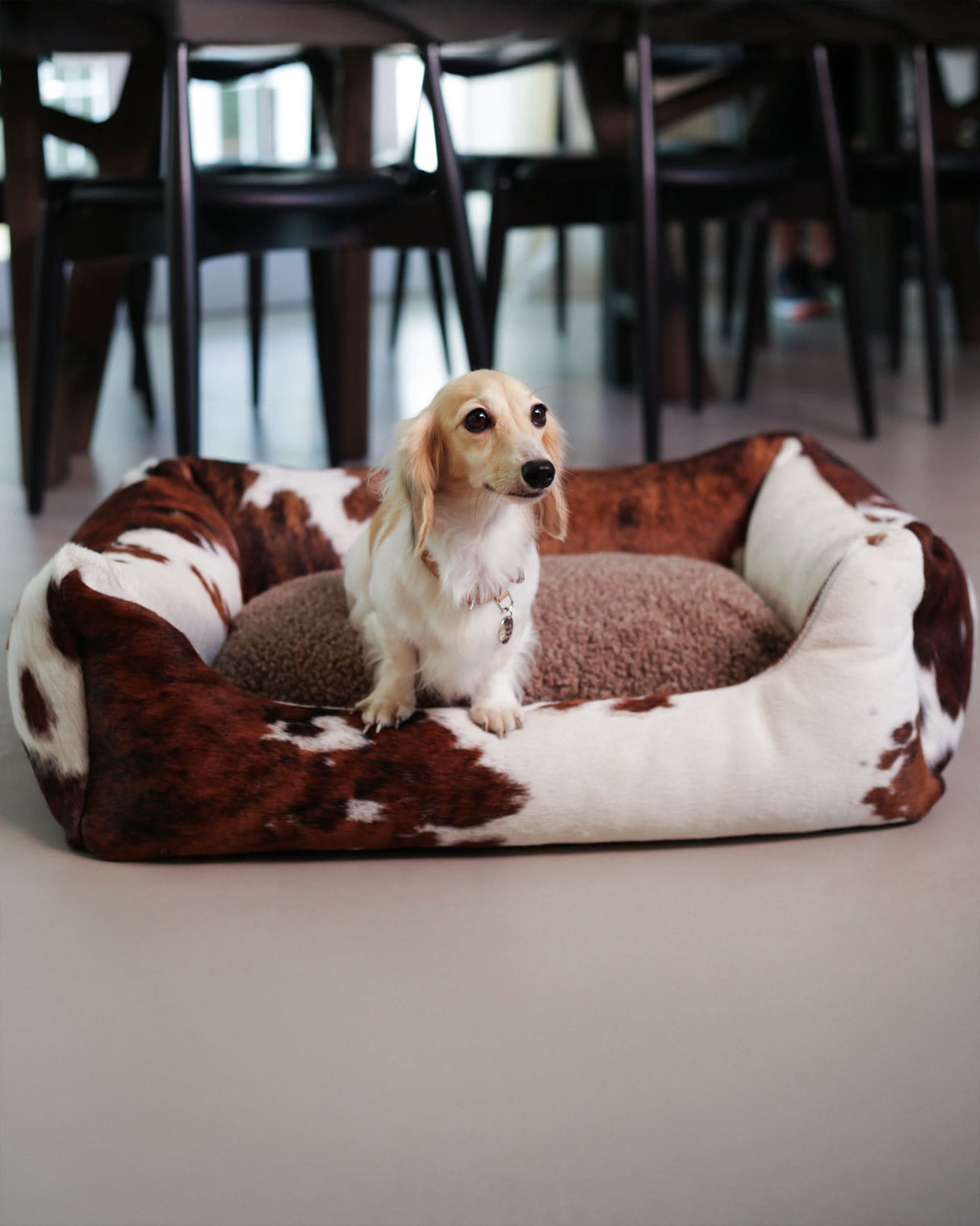HENRI COWHIDE DOG BED | מיטה לכלב