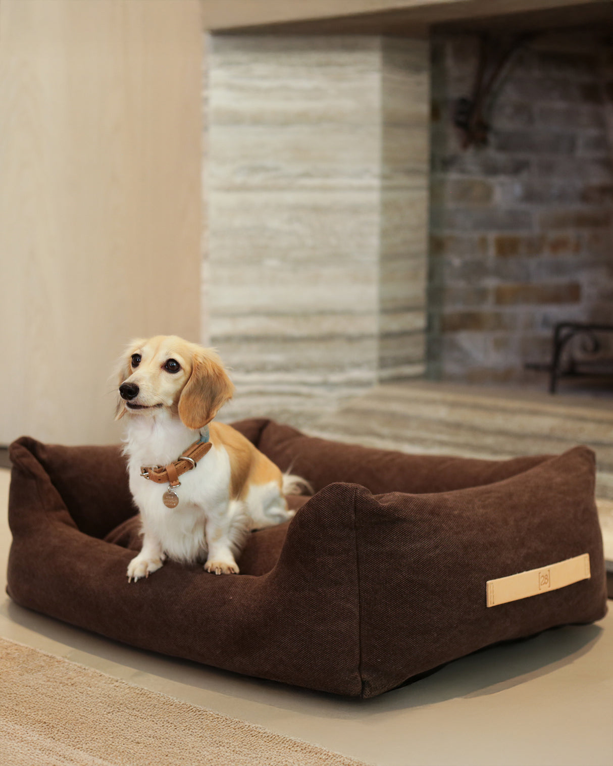 HENRI ORGANIC COTTON DOG BED | מיטה לכלב