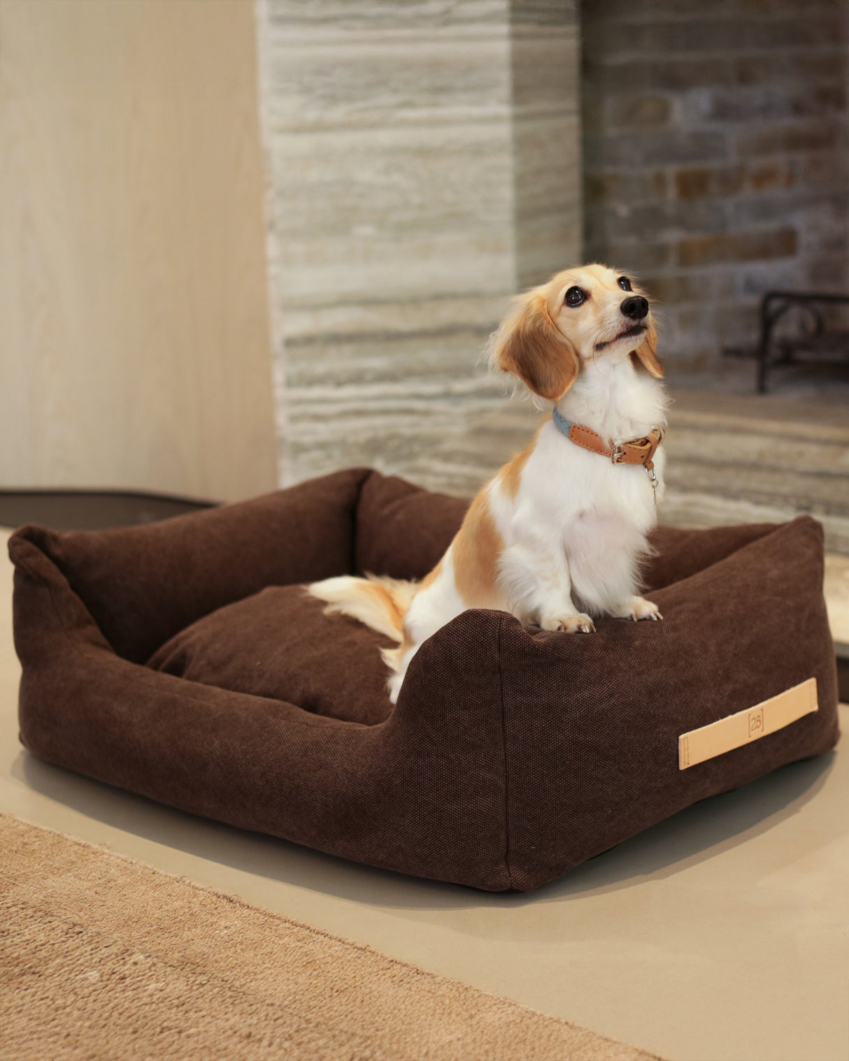 HENRI ORGANIC COTTON DOG BED | מיטה לכלב