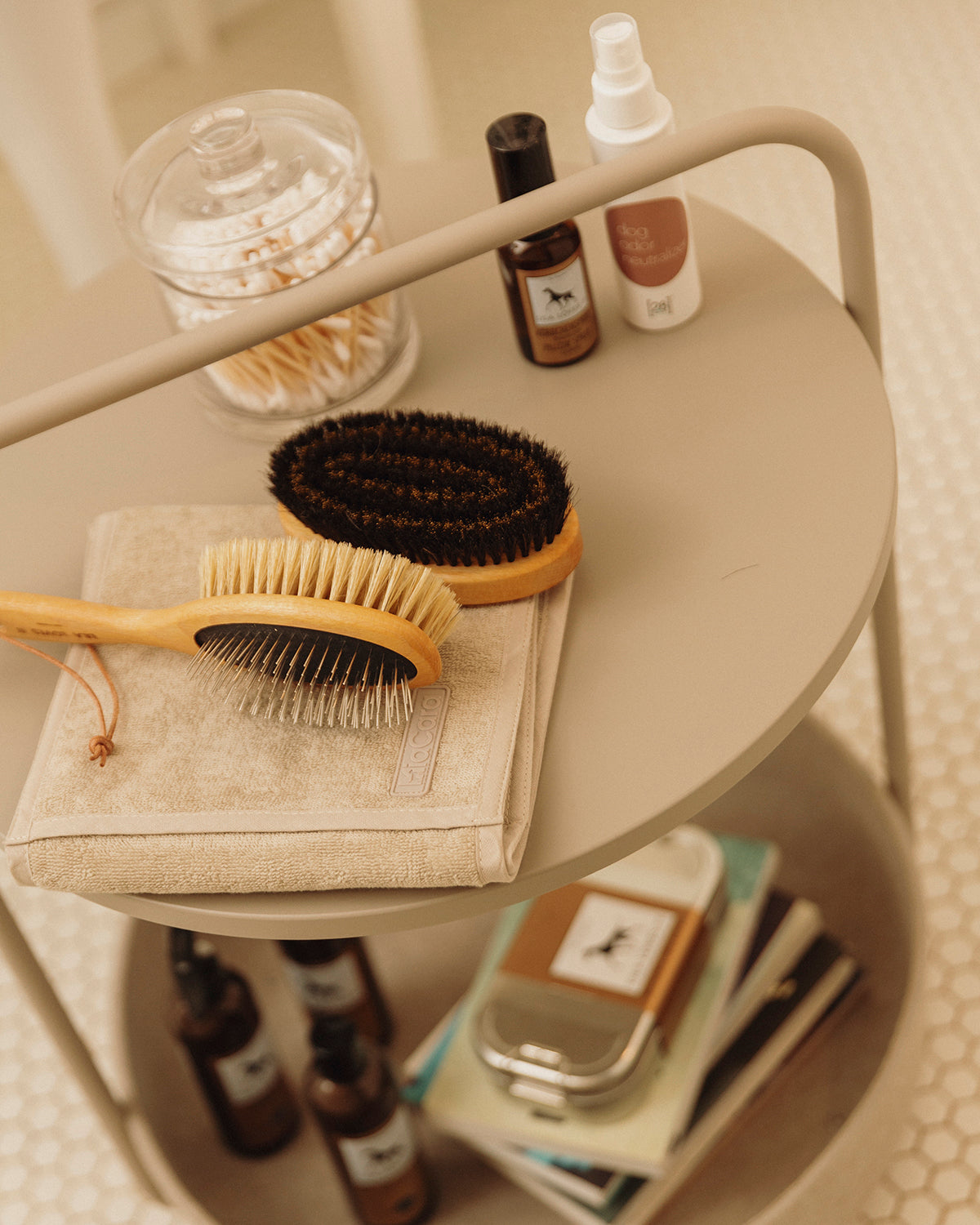 CURRYCOMB SHORTHAIR BRUSH | מברשת לכלב בעל פרווה קצרה