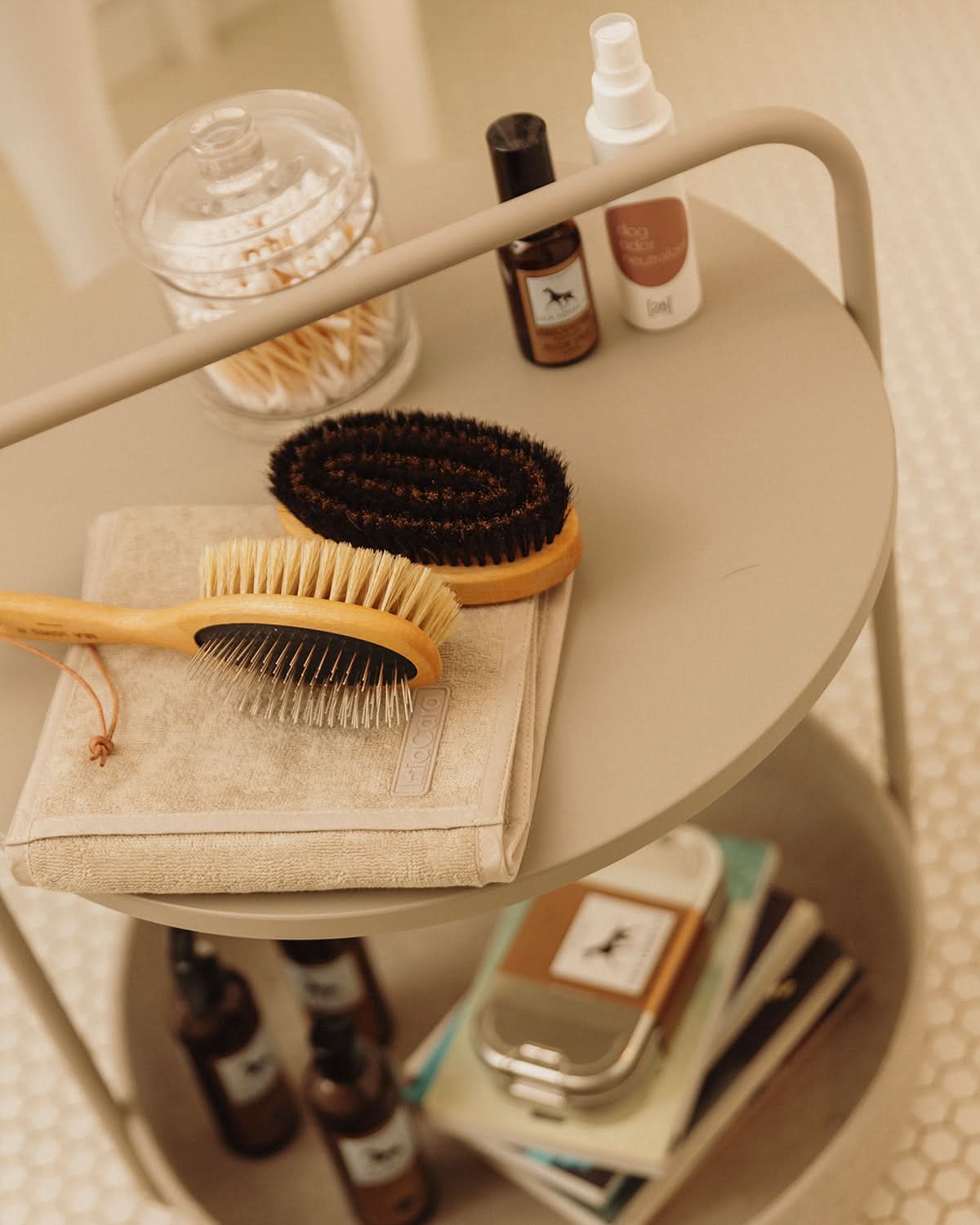 CURRYCOMB SHORTHAIR BRUSH | מברשת לכלב בעל פרווה קצרה