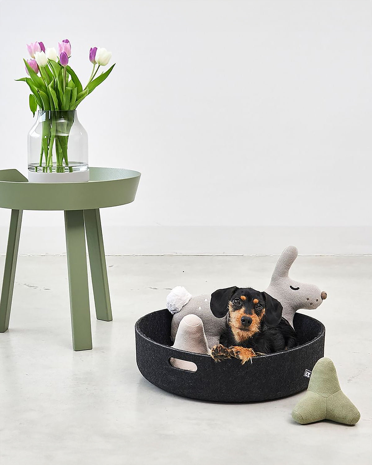 סלסלת צעצועים לכלבים