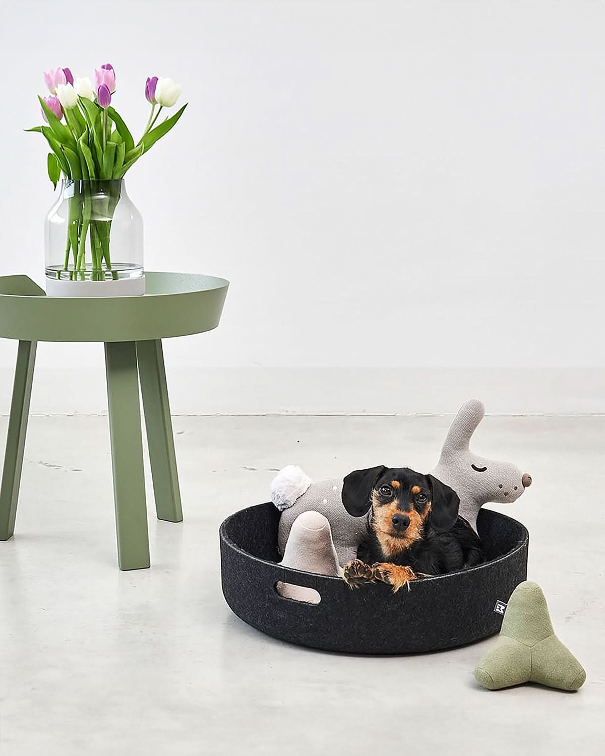 סלסלת צעצועים לכלבים