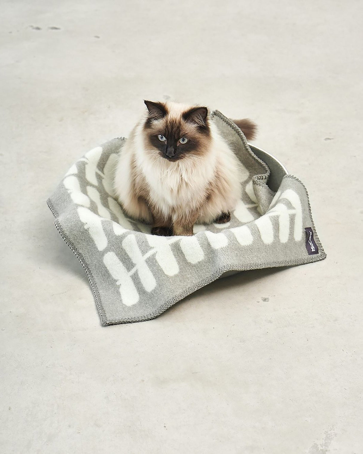 CESTO CAT BASKET | מיטה לחתול או סל צעצועים