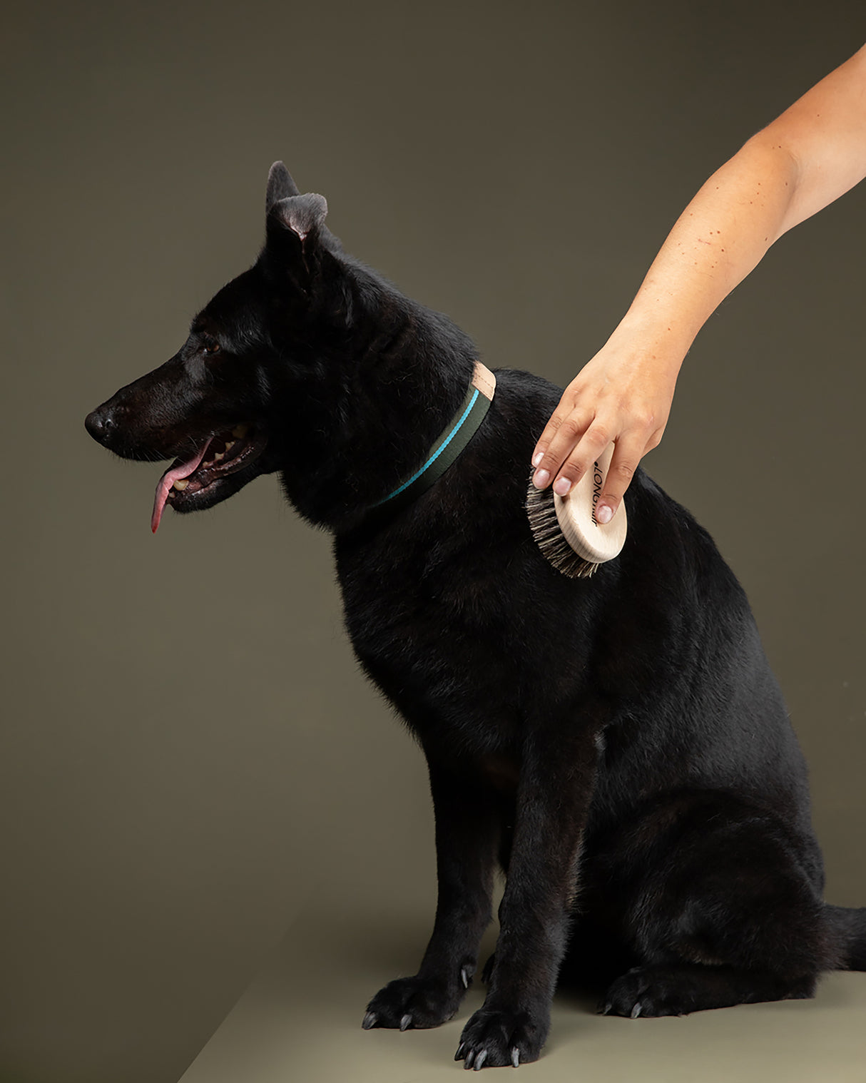 LEE DOG BRUSHES | מברשות שיער לכלבים