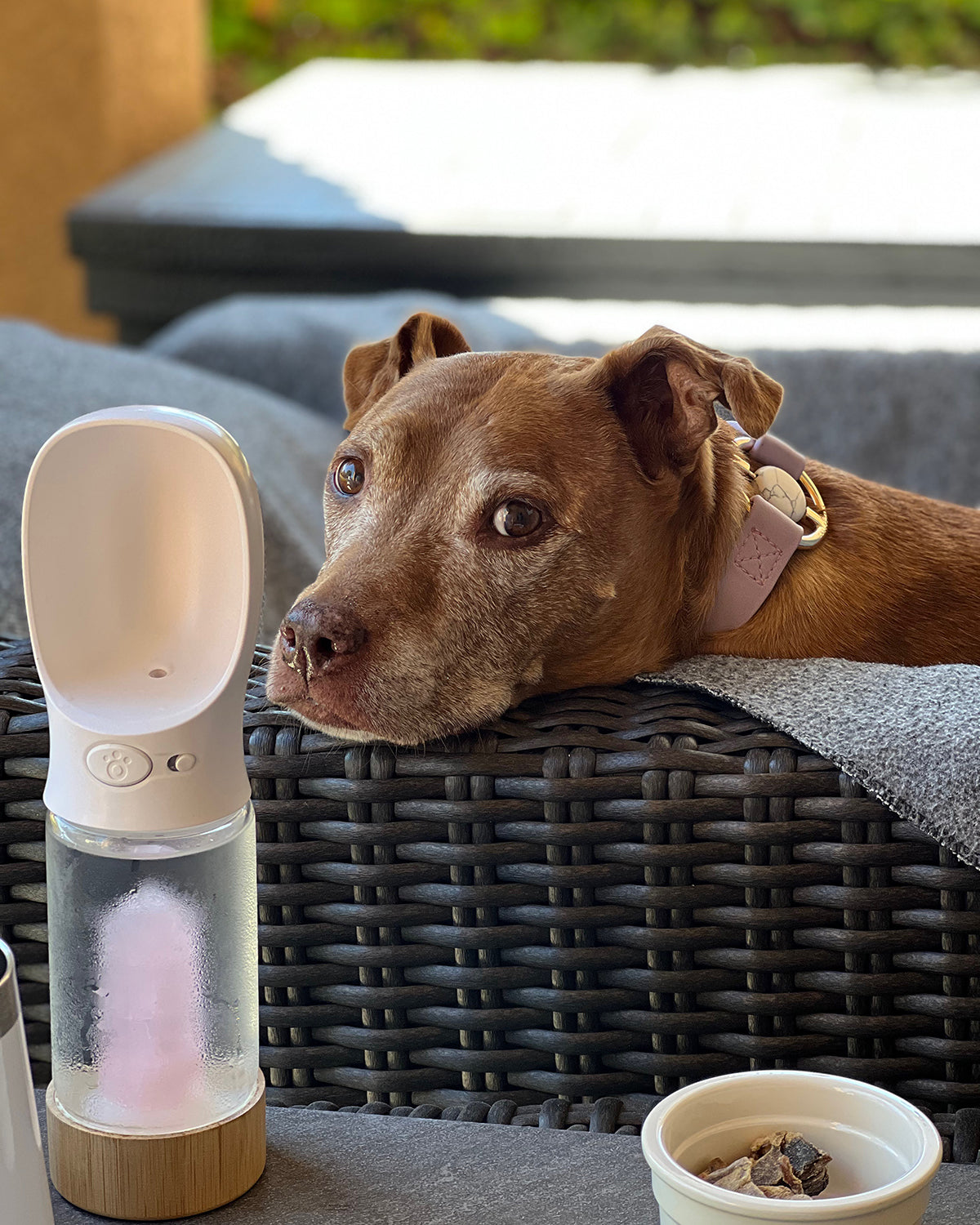 בקבוק מים קריסטל אנרגיה | בקבוק מים עם אבן קריסטל אנרגטית