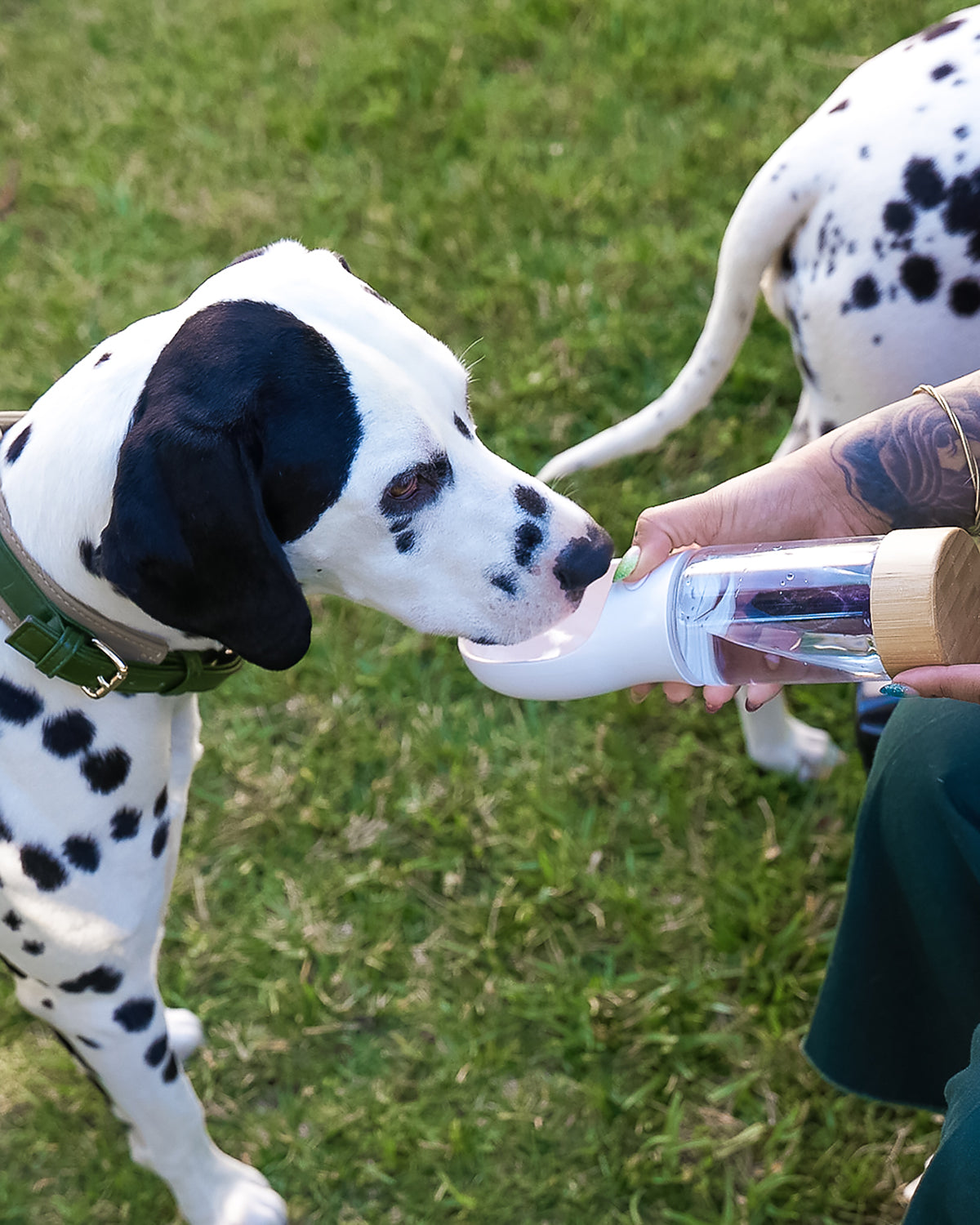 בקבוק מים קריסטל אנרגיה | בקבוק מים עם אבן קריסטל אנרגטית