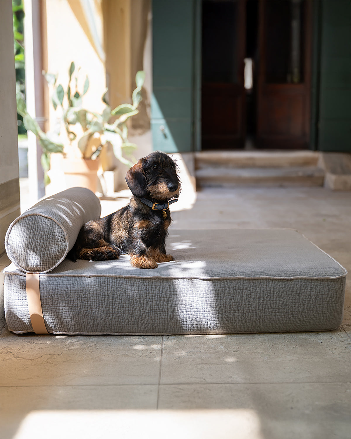 GIAMPAOLO ELEPHANT COTTON LOUNGE BED | מיטת לאונג׳ אורתופדית לכלב