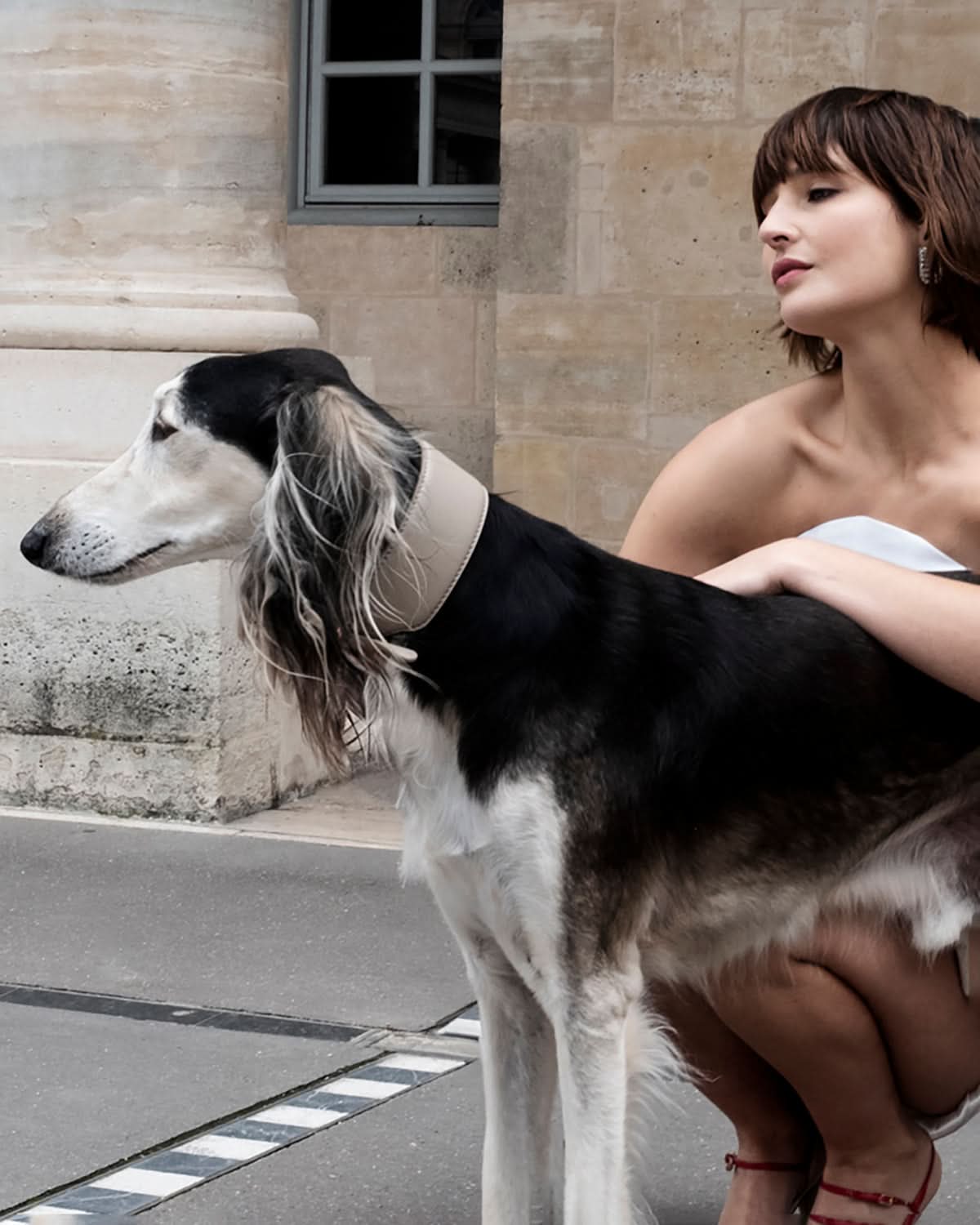 MARIO WIDE LEATHER COLLAR | קולר עור נאפה רחב לכלב