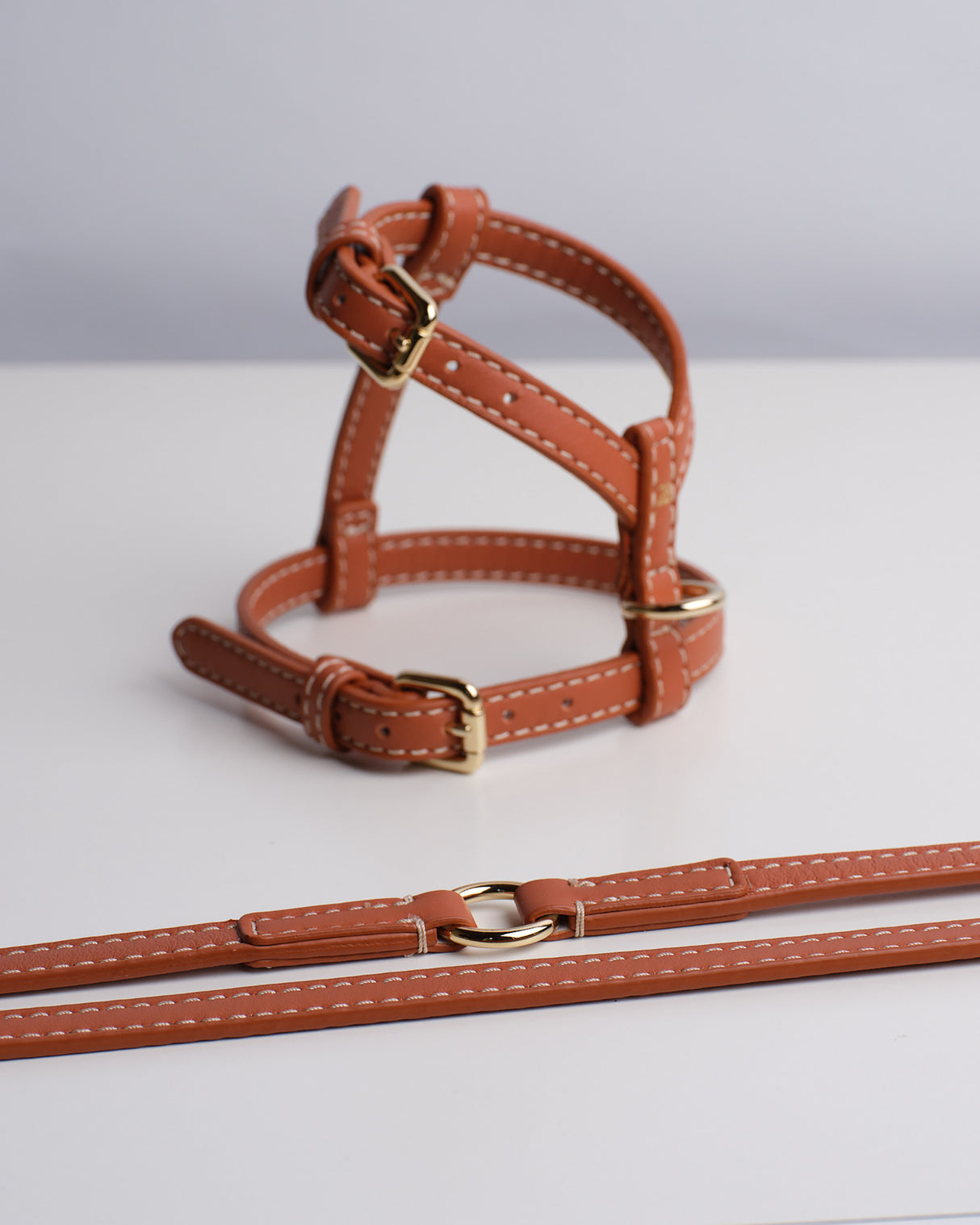 GABRIELE NAPPA LEATHER DOG HARNESS | רתמת עור נאפה לכלב