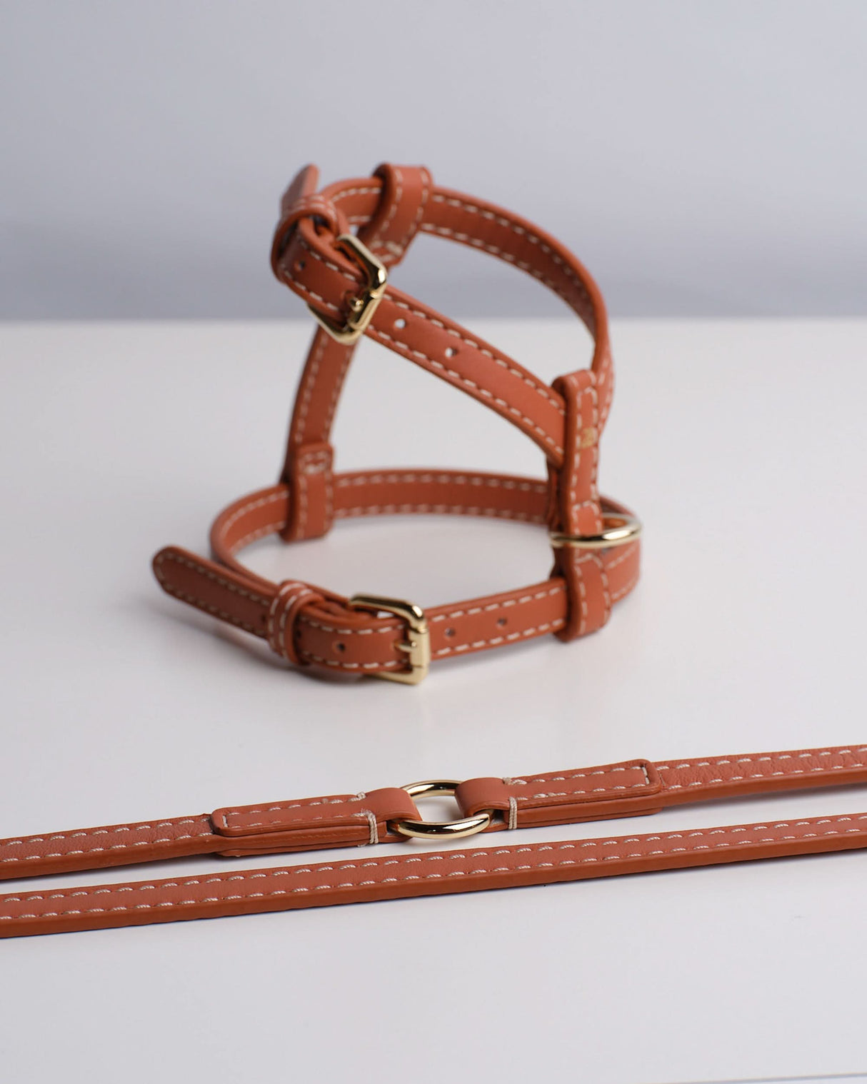 רתמה לכלב מעור נאפה איטלקי | GABRIELE DOG HARNESS