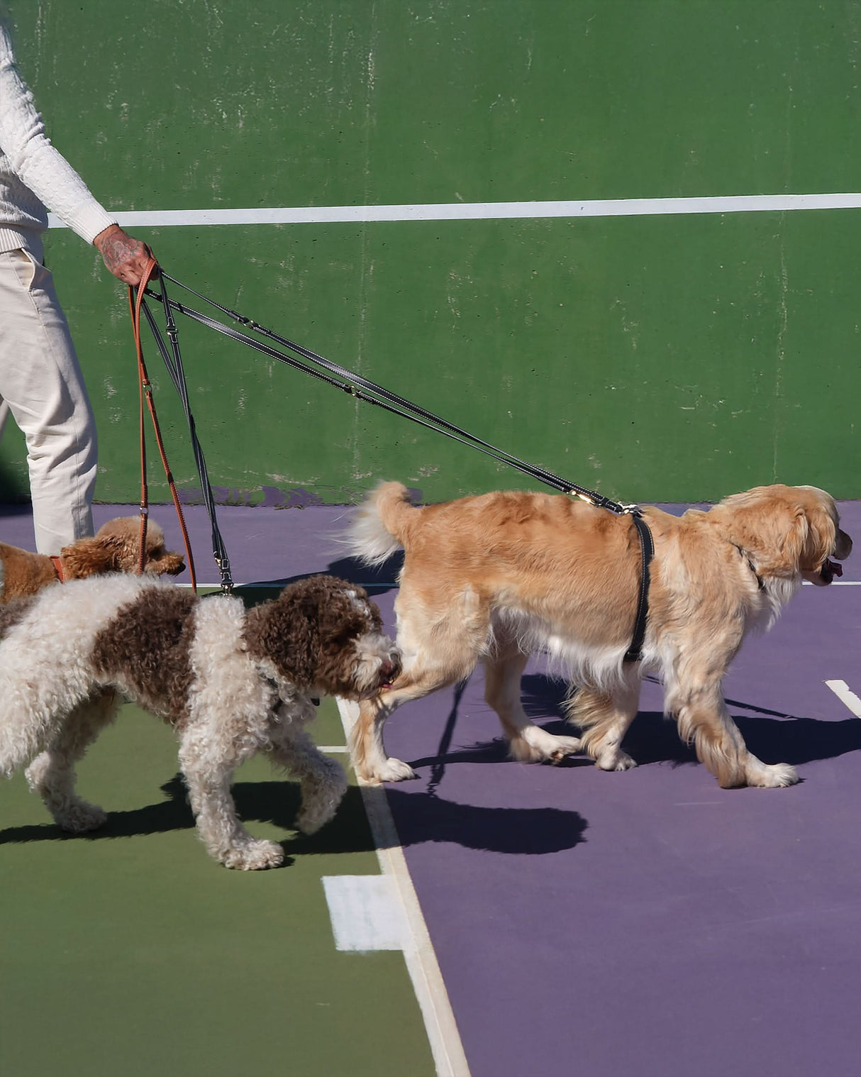 GABRIELE FREE-HANDS LONG LEATHER DOG LEASH | רצועת עור ארוכה ומתכווננת לכלבים