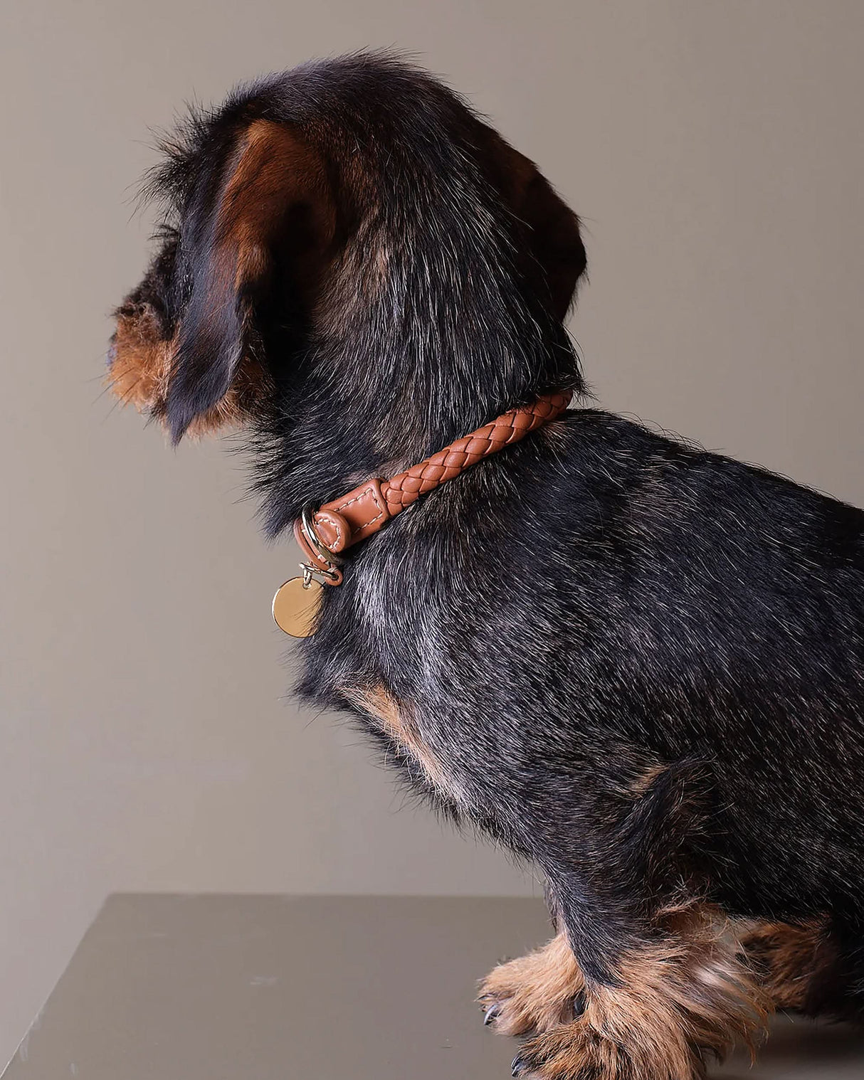 FERDINANDO NAPPA LEATHER COLLAR | קולר עור נאפה לכלב